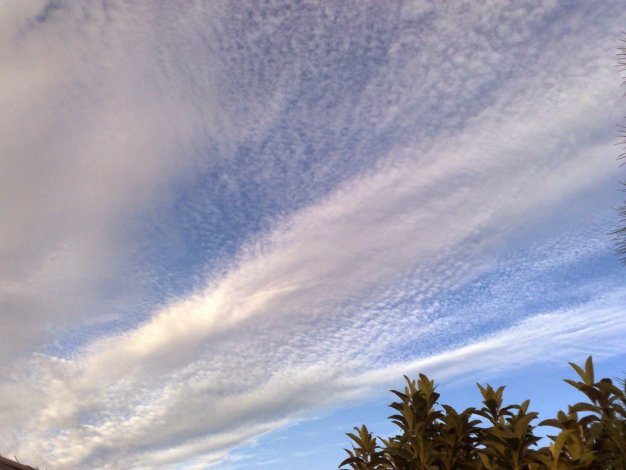 Nokia N95 sample photo. Sky of angeiras, matosinhos, portugal  photography