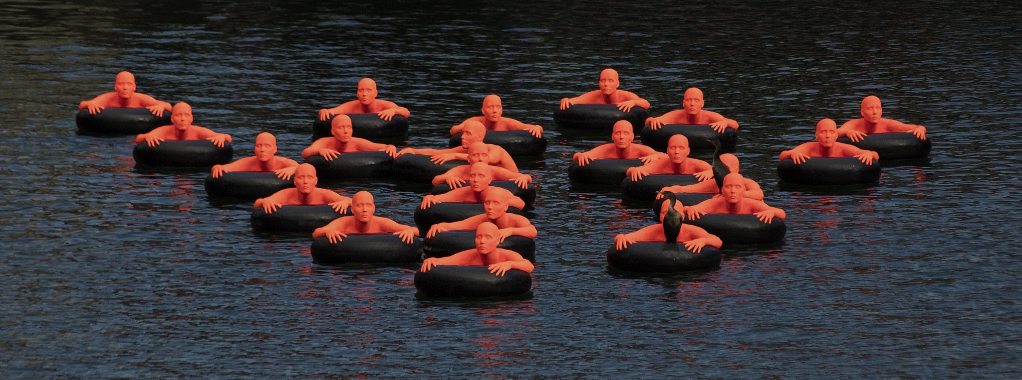 Canon EOS 5DS sample photo. Safety orange swimmers photography