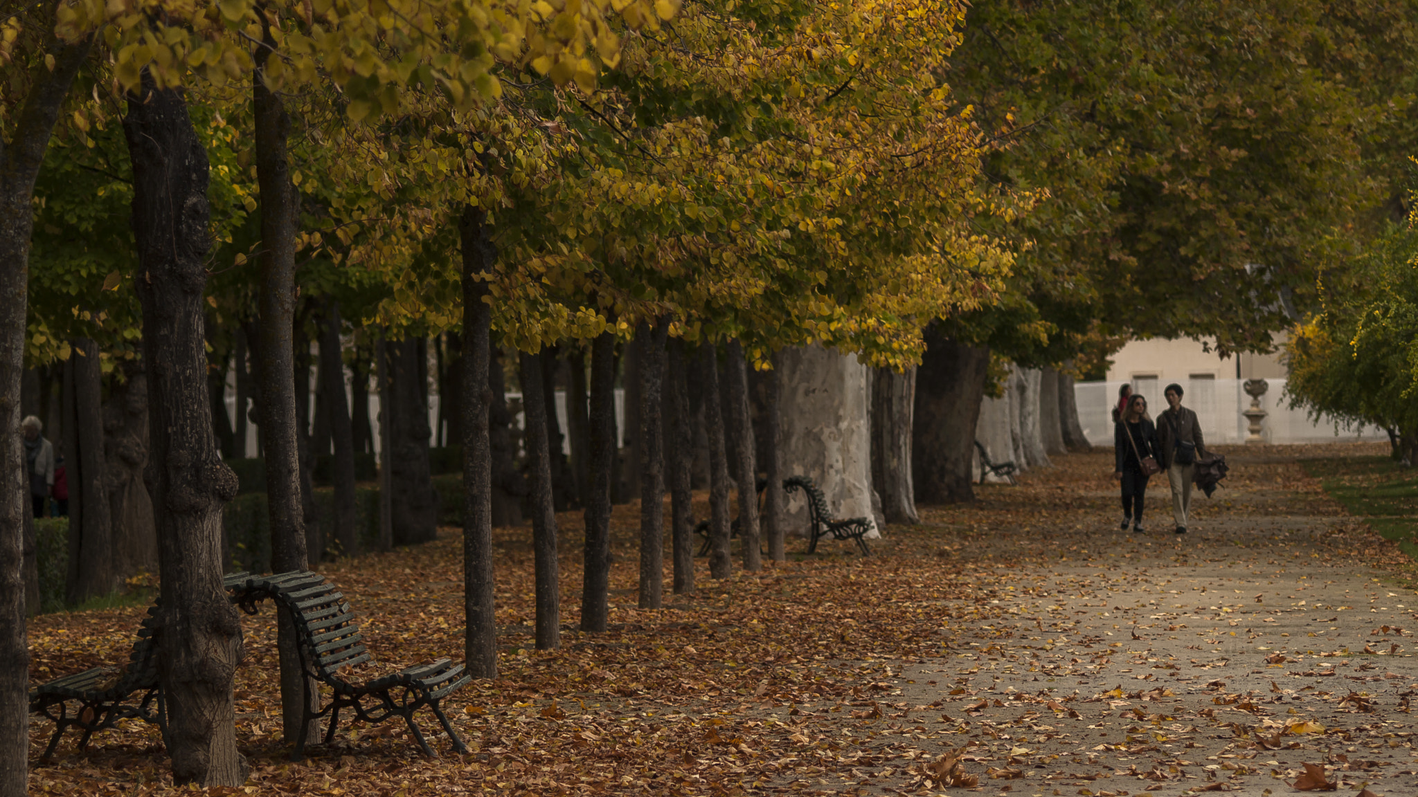 Olympus Zuiko Digital ED 70-300mm F4.0-5.6 sample photo. Aranjuez, 22/10/2016 photography