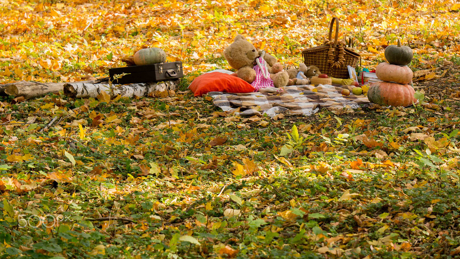 Sony Alpha NEX-5R + Sony E 55-210mm F4.5-6.3 OSS sample photo. Autumn installation photography