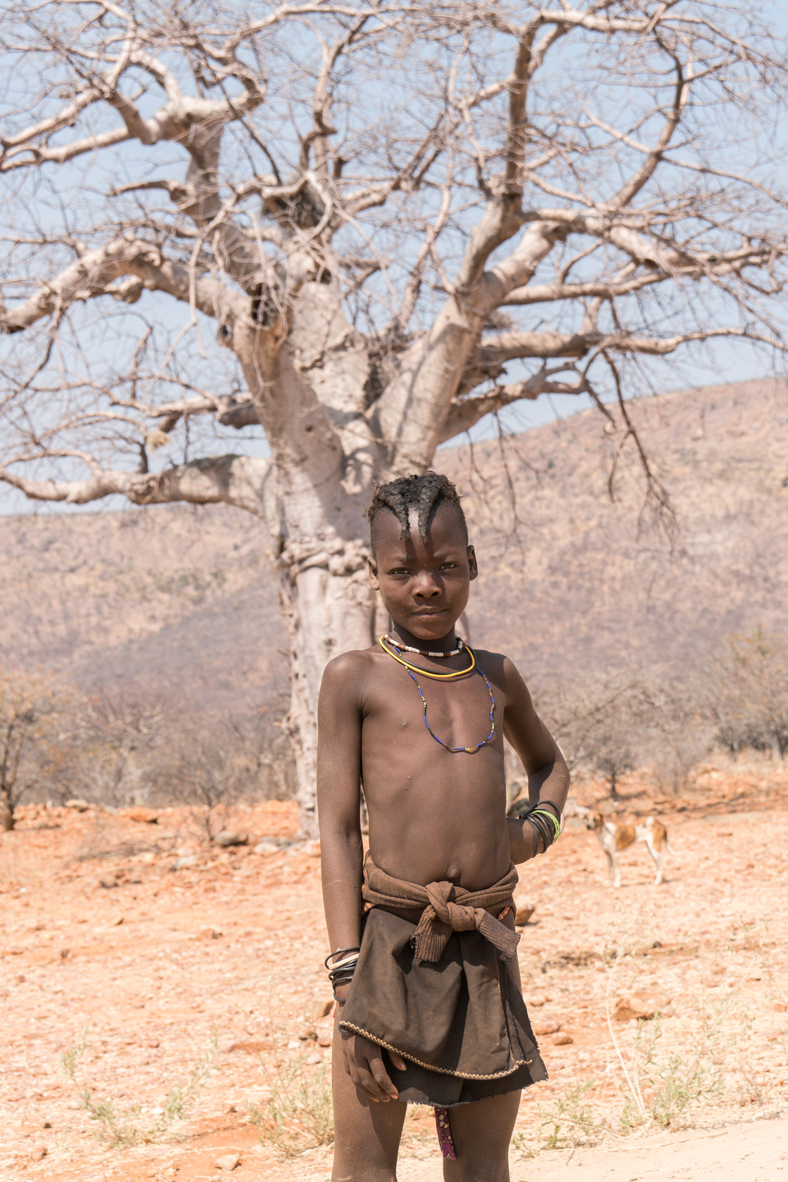 Sony E 18-200mm F3.5-6.3 OSS sample photo. In front of the baobab, namibia photography