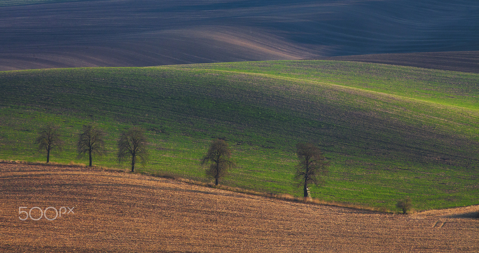 Canon EF 70-200mm F2.8L IS USM sample photo. Lines photography