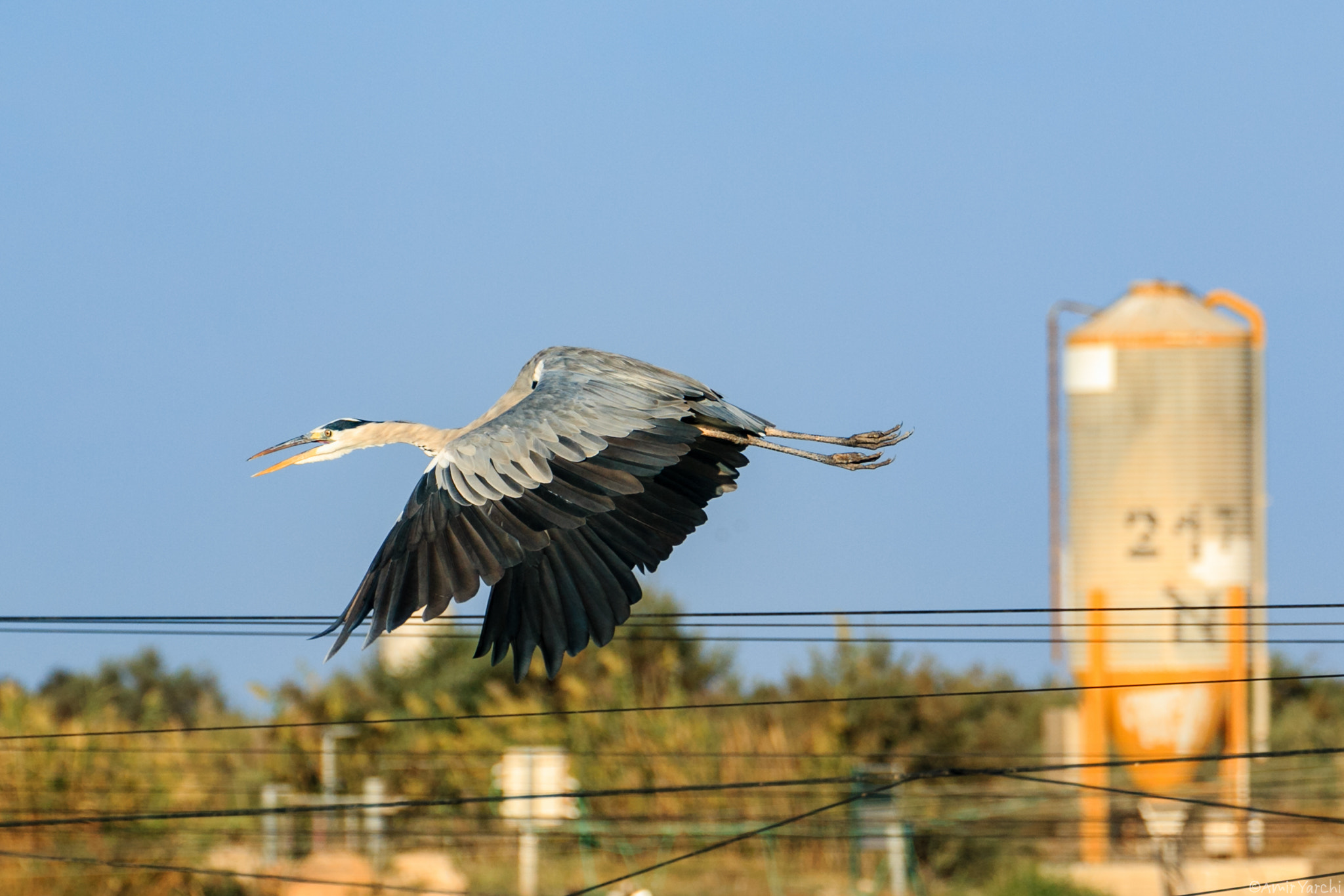 Canon EF 70-200mm F4L USM sample photo. Passing by photography