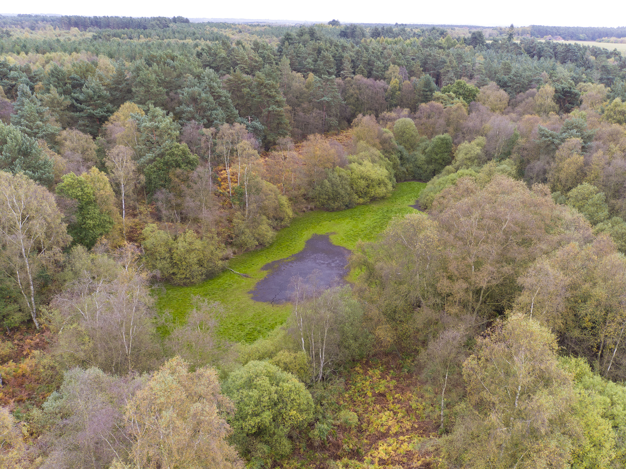 DJI FC550 sample photo. Dji_0010_1.jpg photography