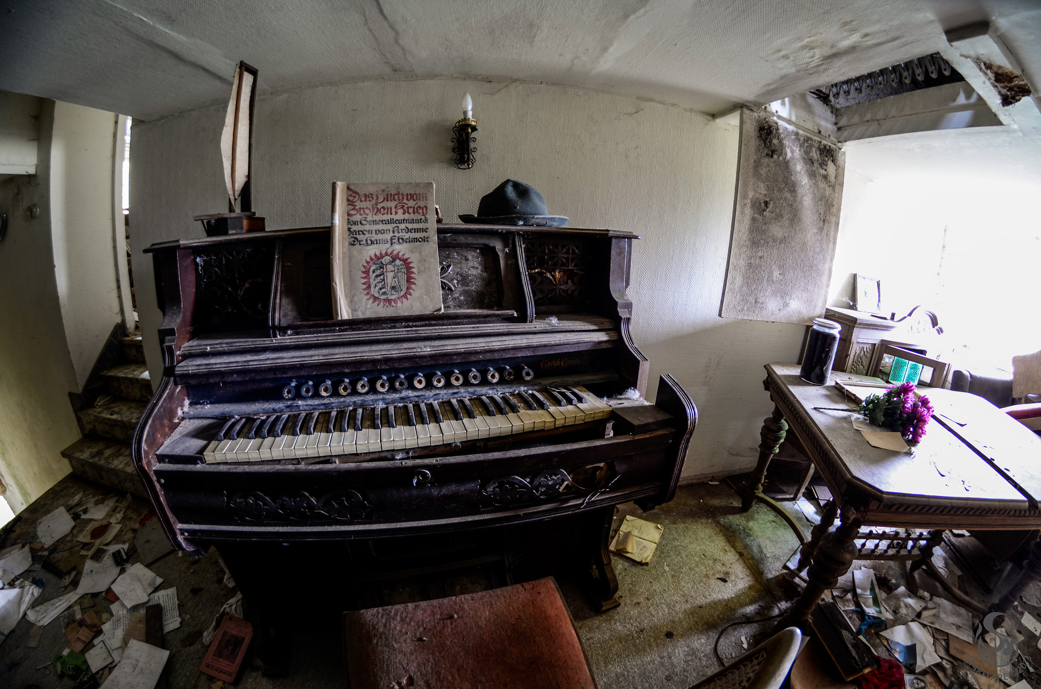 Nikon D5100 + Samyang 8mm F3.5 Aspherical IF MC Fisheye sample photo. Decayed organ melody photography