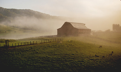 Nikon D300S + Sigma 30mm F1.4 EX DC HSM sample photo. Barn in mist photography