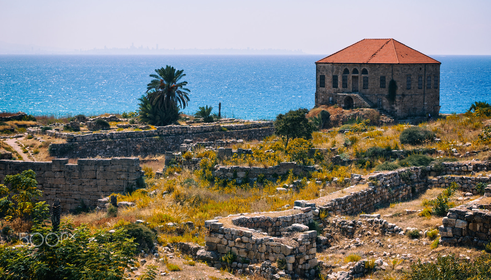 Sony a99 II + Minolta/Sony AF 70-200mm F2.8 G sample photo. Byblos photography