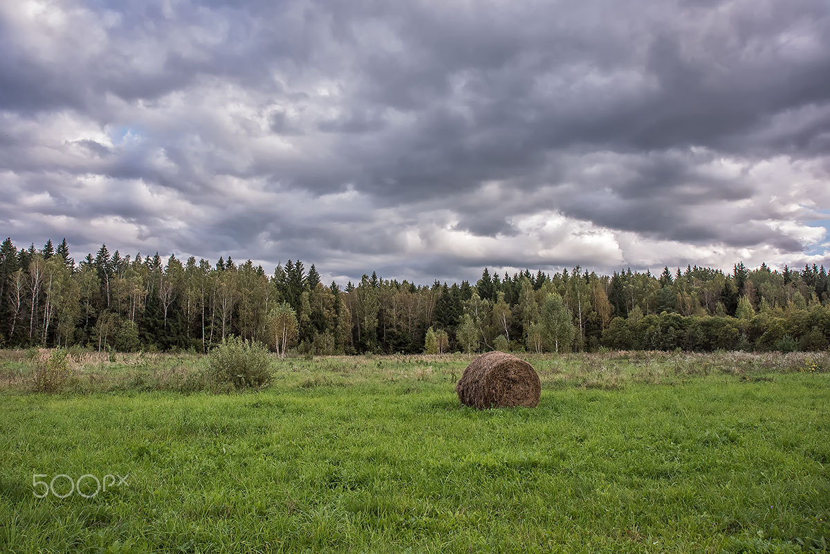 AF Zoom-Nikkor 28-105mm f/3.5-4.5D IF sample photo. Осень photography