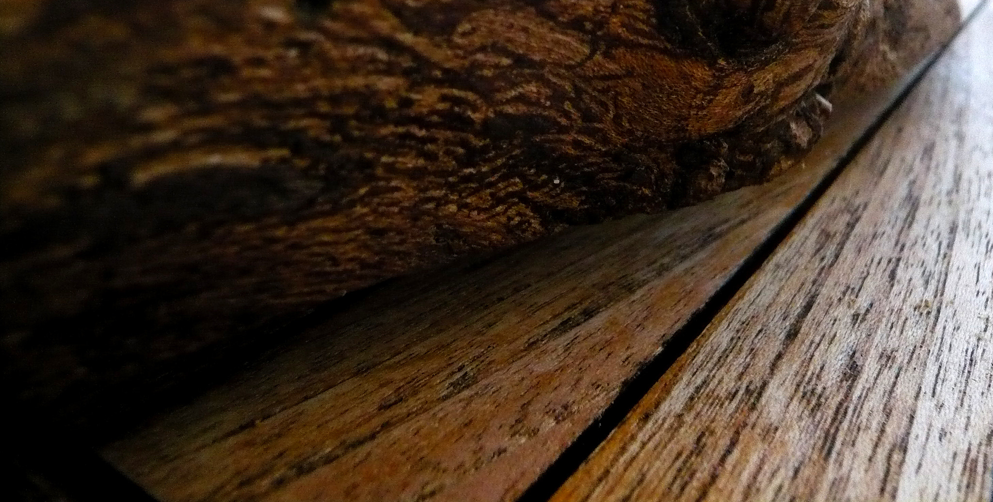 Panasonic DMC-FX30 sample photo. Variations de bois photography