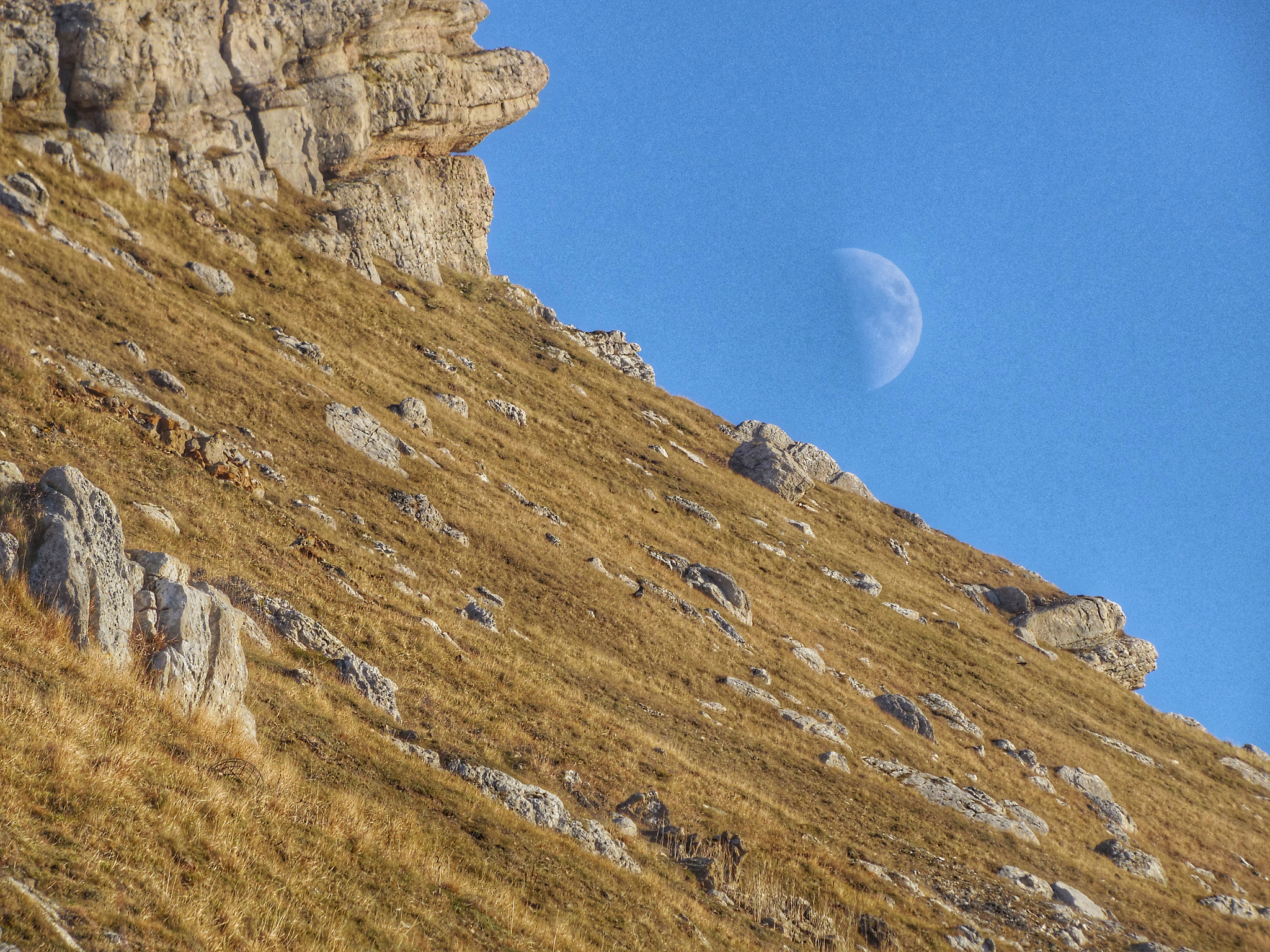Samsung WB2200F sample photo. Moonrise photography