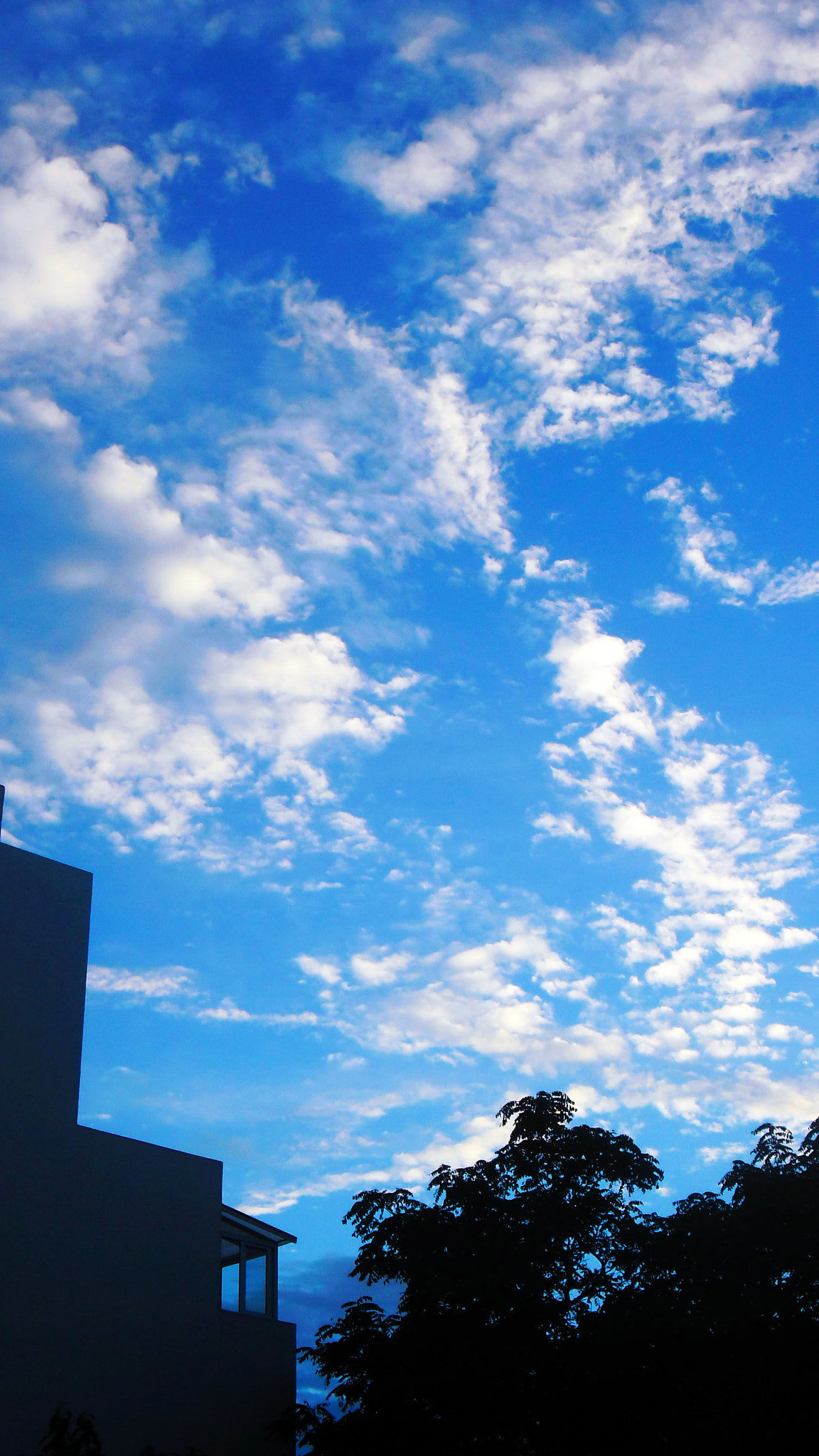 Samsung ES80/ ES81 sample photo. 80 photography