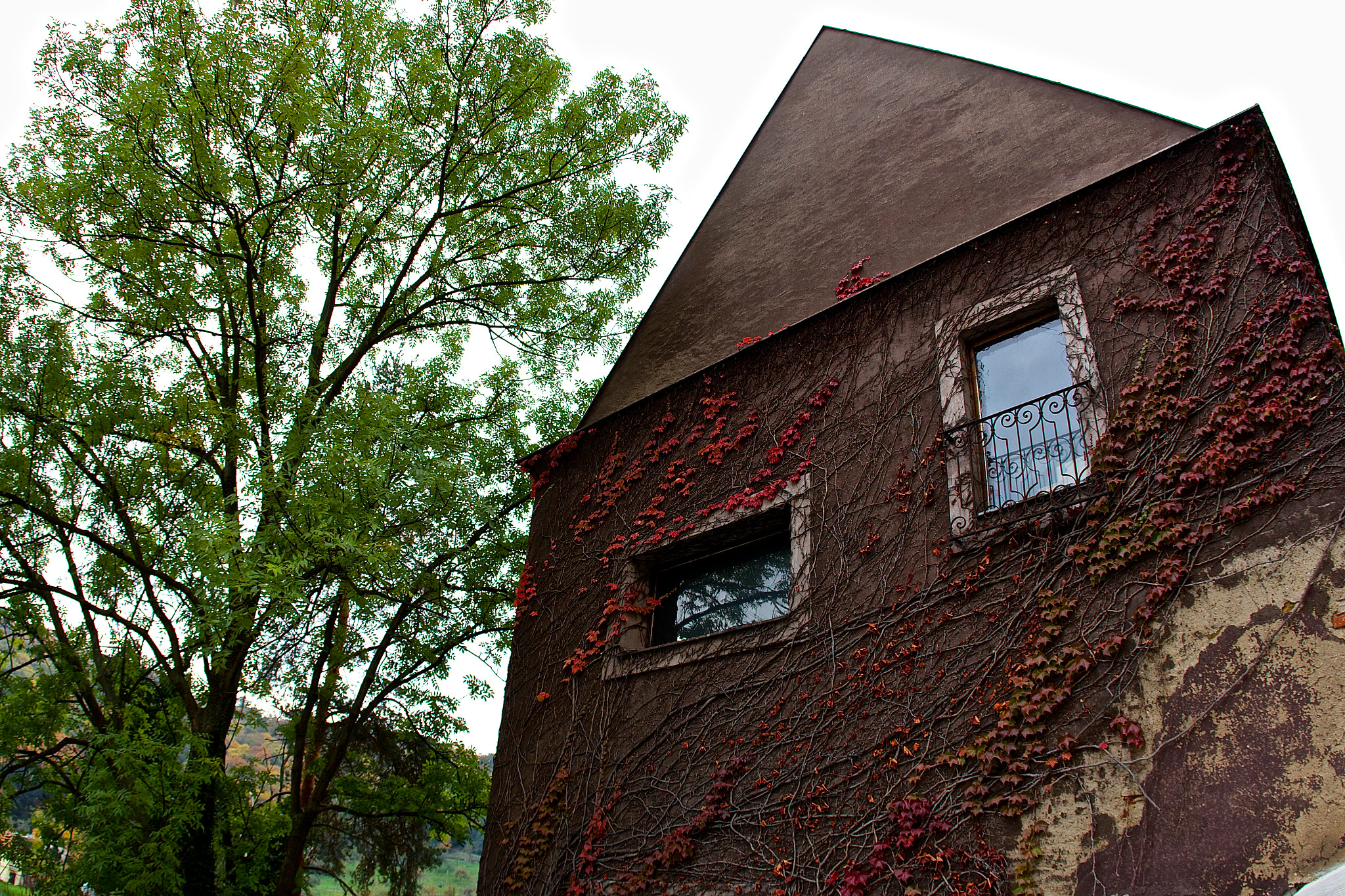 Canon EOS 700D (EOS Rebel T5i / EOS Kiss X7i) + Canon EF 15mm F2.8 Fisheye sample photo. The old house and tree photography