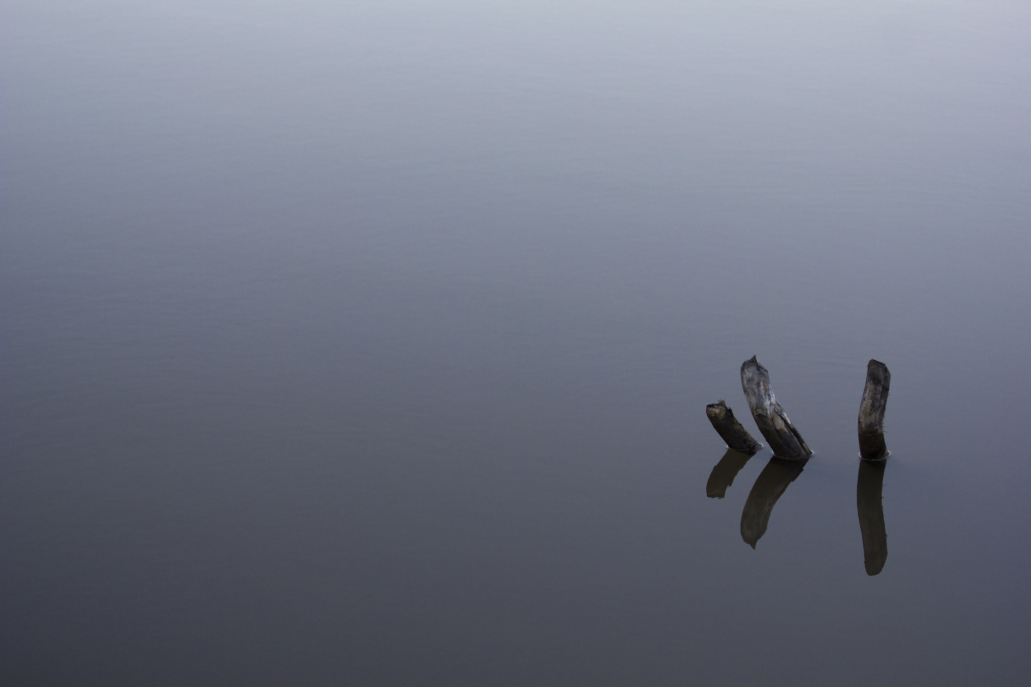 Canon EF 70-300mm F4-5.6 IS USM sample photo. The pond photography