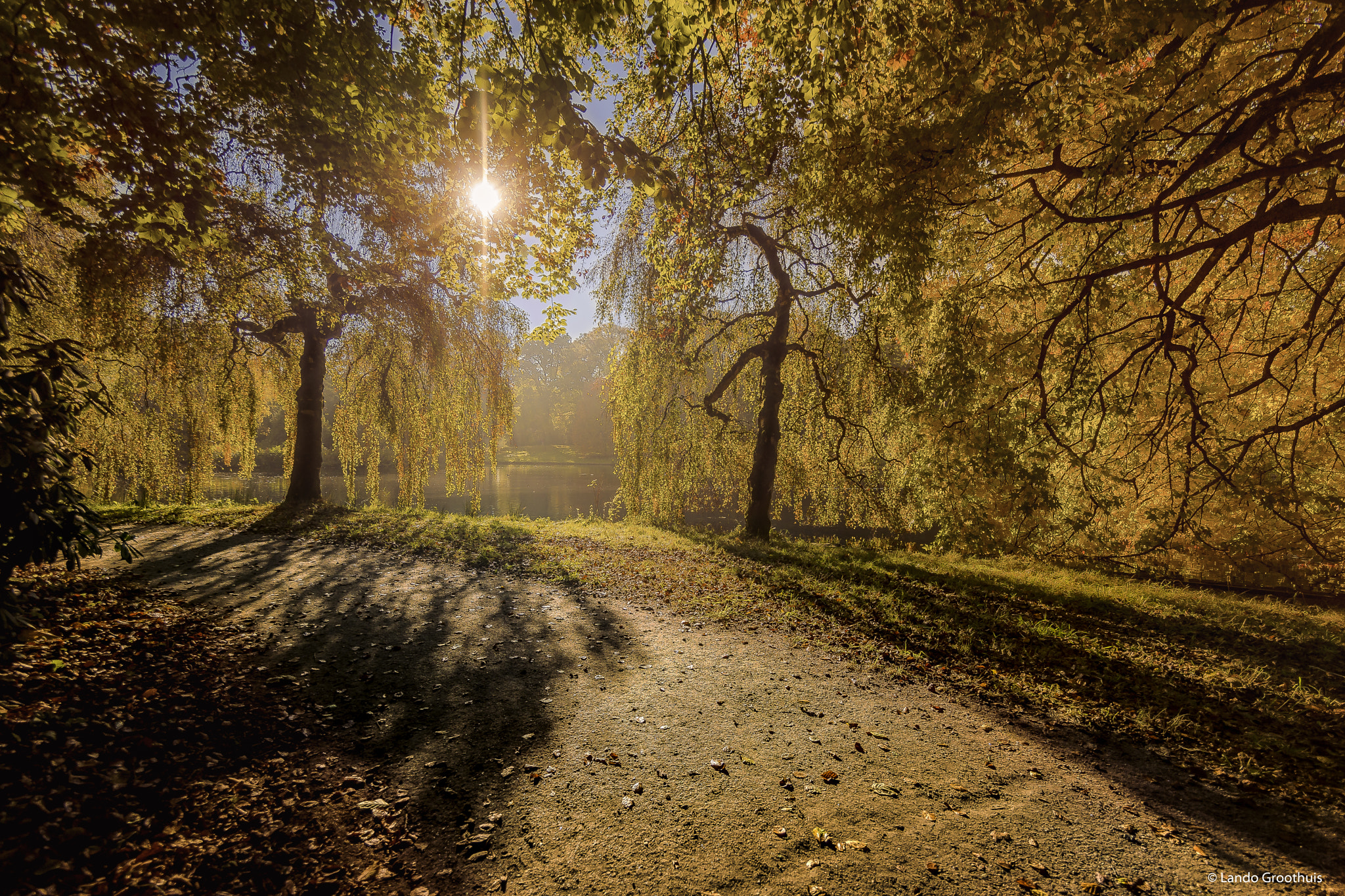Samyang 14mm F2.8 ED AS IF UMC sample photo. Autumn photography