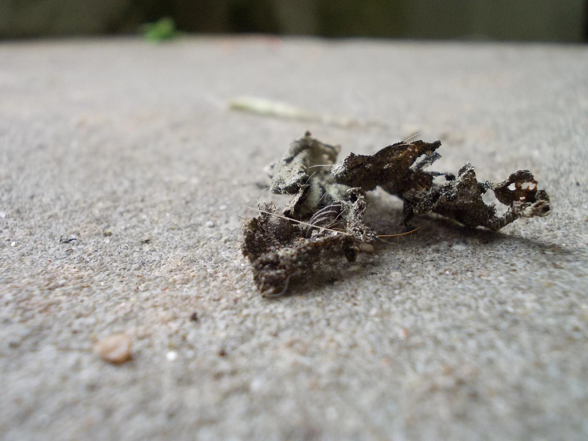 Nikon COOLPIX L23 sample photo. "time goes and something leaves" photography