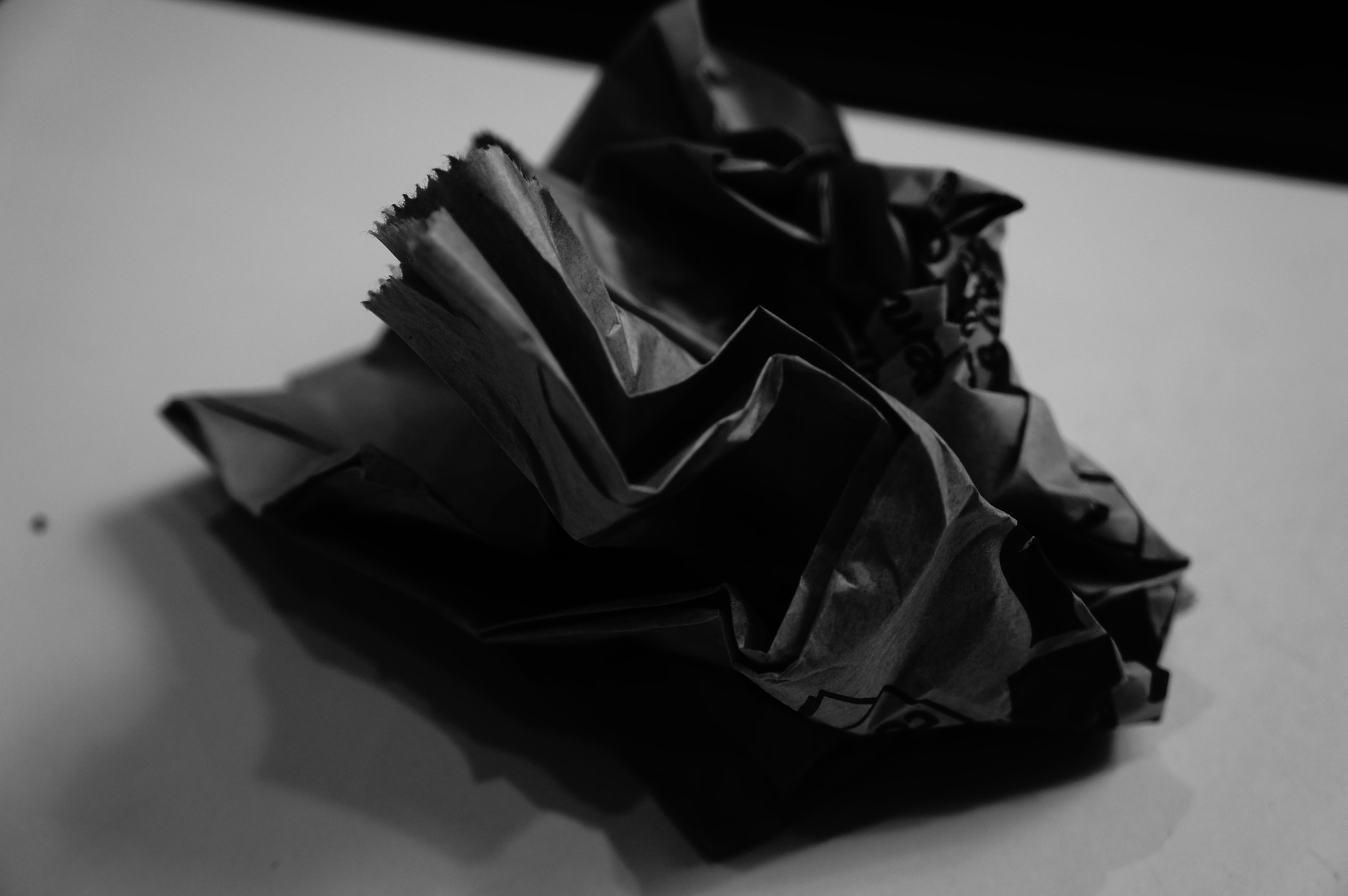 Sony Alpha NEX-C3 sample photo. Paper rose - take away bag photography