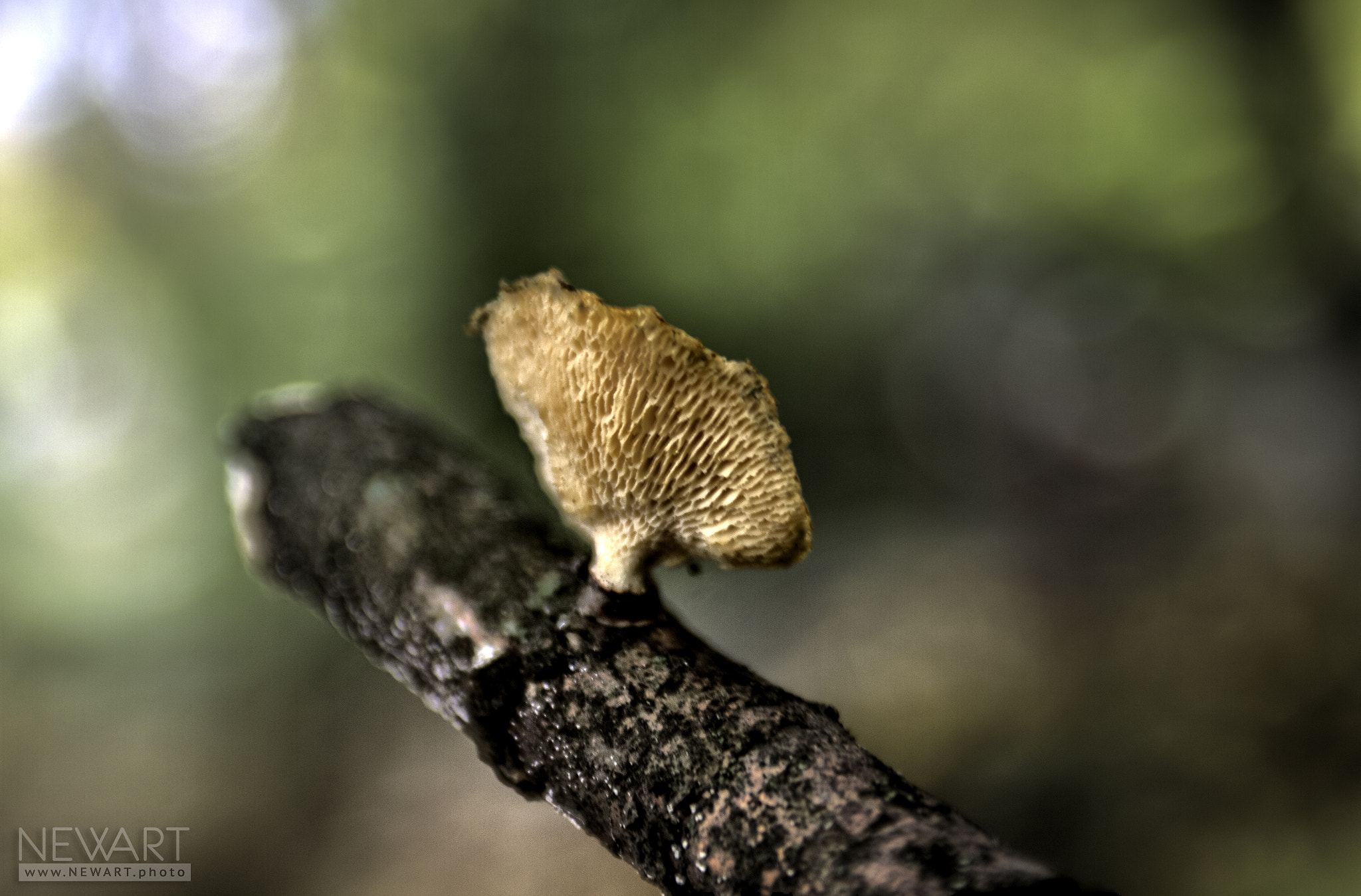 EF28-70mm f/2.8L USM sample photo. 5967 photography