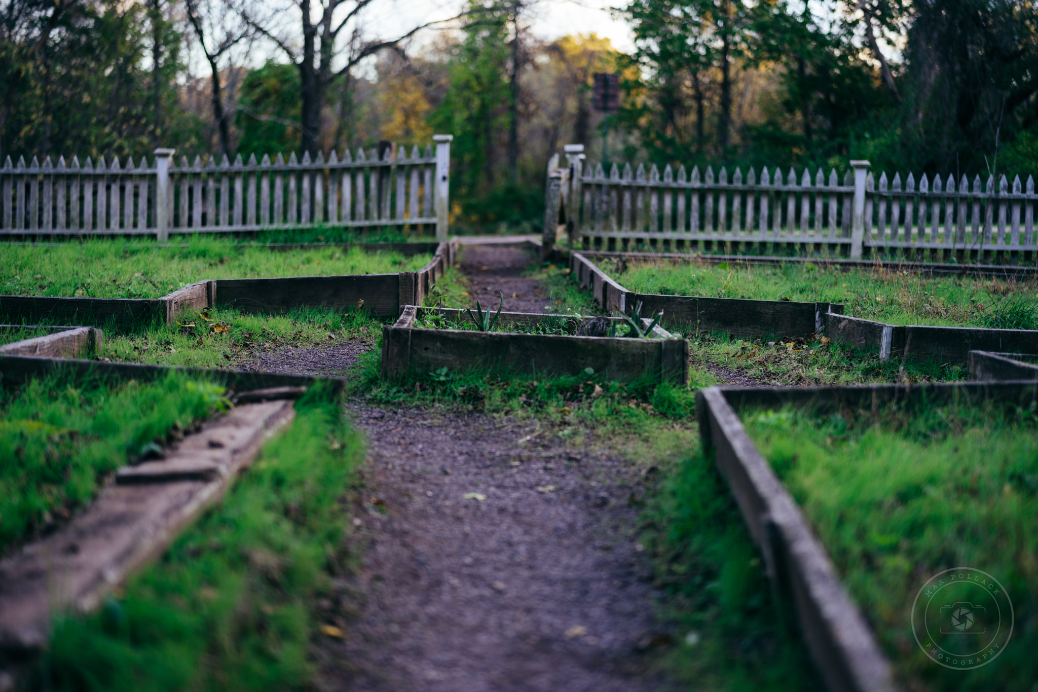Sony Planar T* FE 50mm F1.4 ZA sample photo. Ritual photography