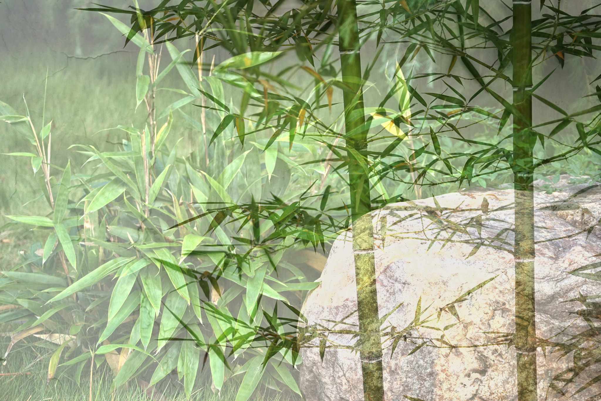 Sony 70-300mm F4.5-5.6 G SSM sample photo