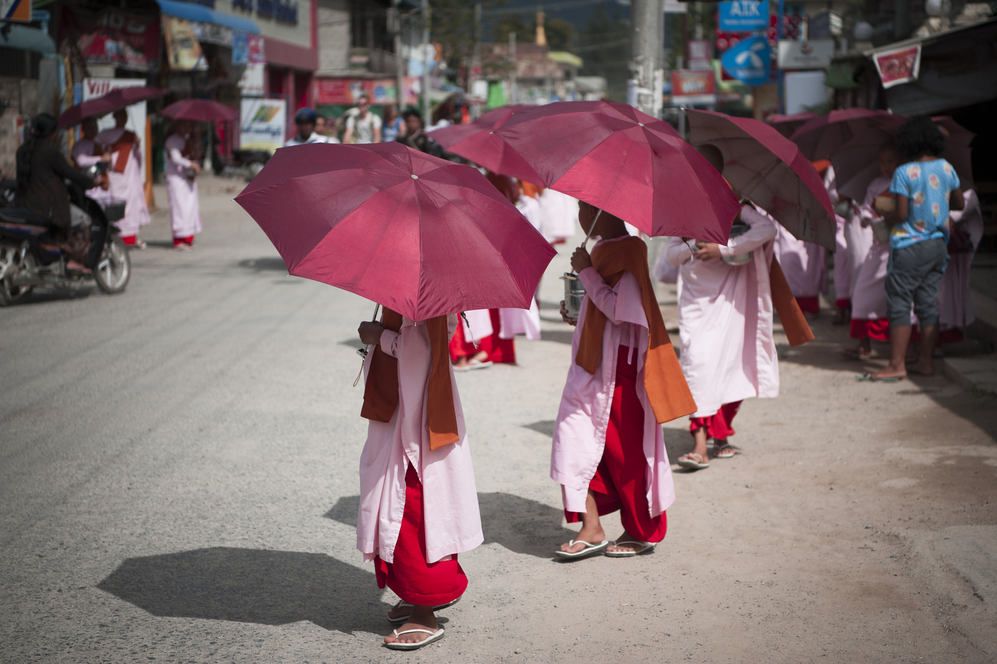 Nikon AF-S Nikkor 24-70mm F2.8E ED VR sample photo. Rosa nuns photography