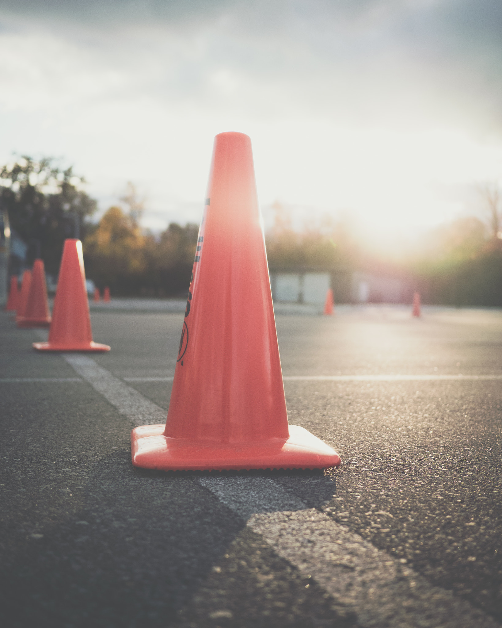 Olympus OM-D E-M5 II + LUMIX G 20/F1.7 II sample photo. Project 365, day two hundred and ninety-eight - cones photography