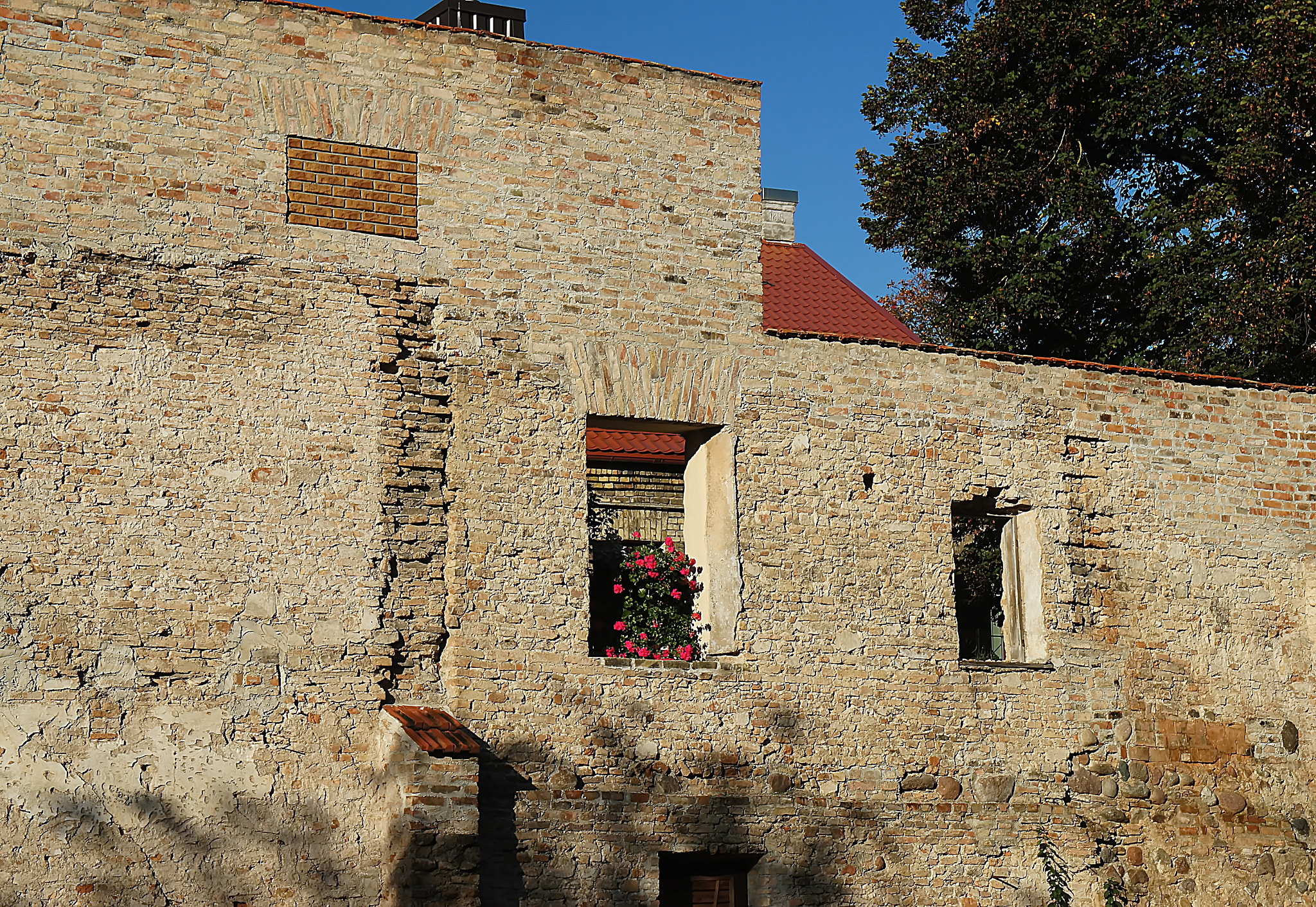 Sony Alpha NEX-C3 sample photo. The wall photography
