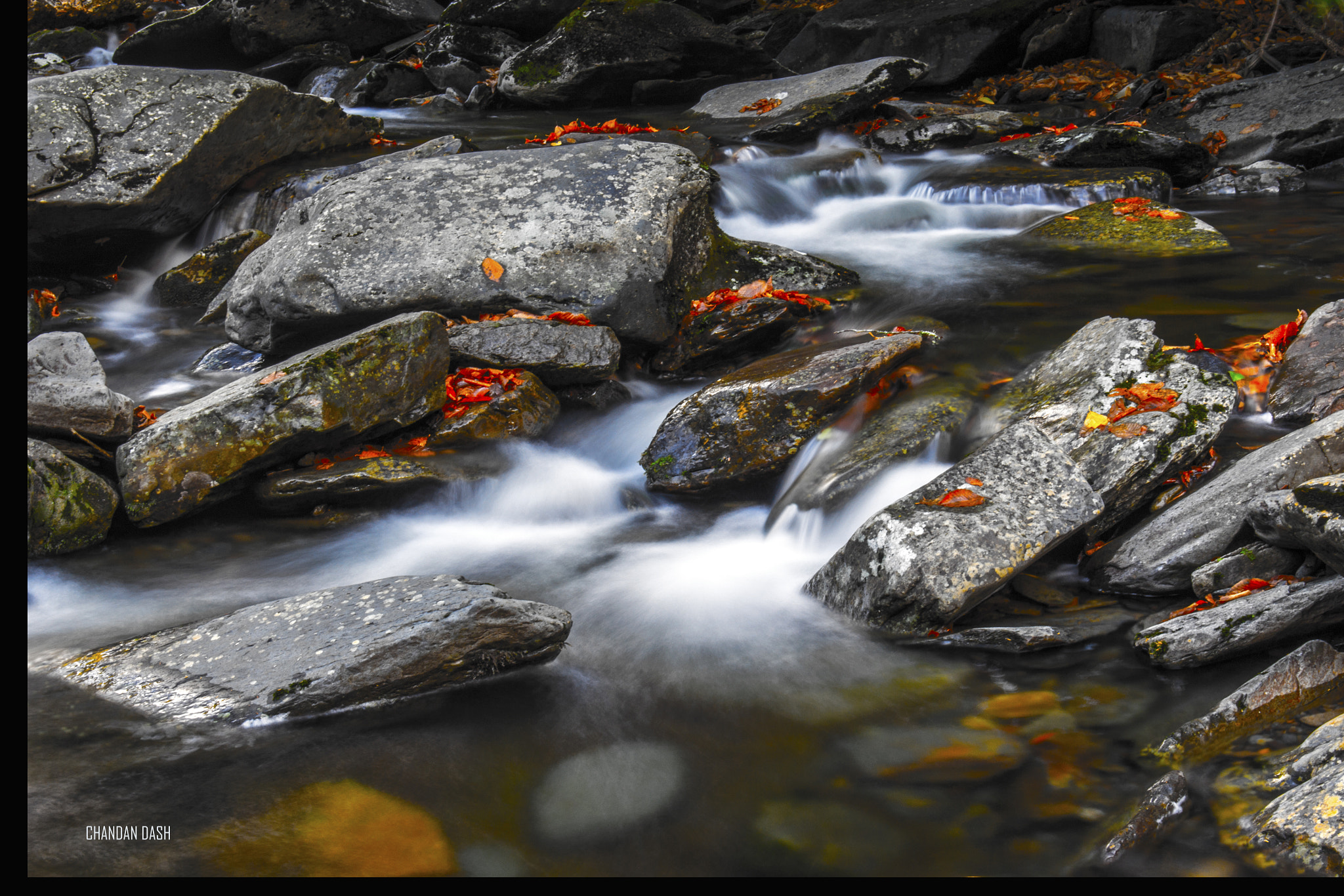 Nikon AF-S Nikkor 24-70mm F2.8G ED sample photo. Misty creek photography