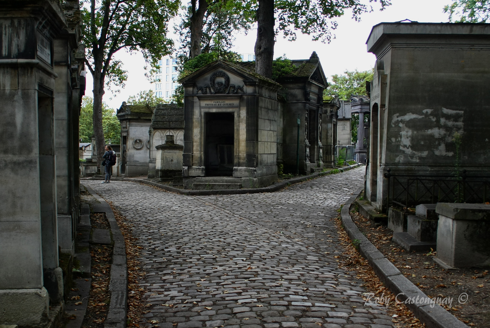 Canon EOS 1000D (EOS Digital Rebel XS / EOS Kiss F) sample photo. Pere lachaise cemetary photography