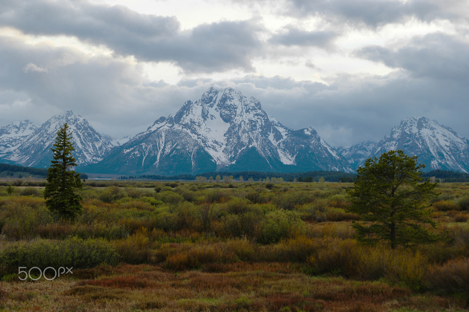 Saumsun NX 16-50mm F2-2.8 S ED OIS sample photo. Grand tetons photography