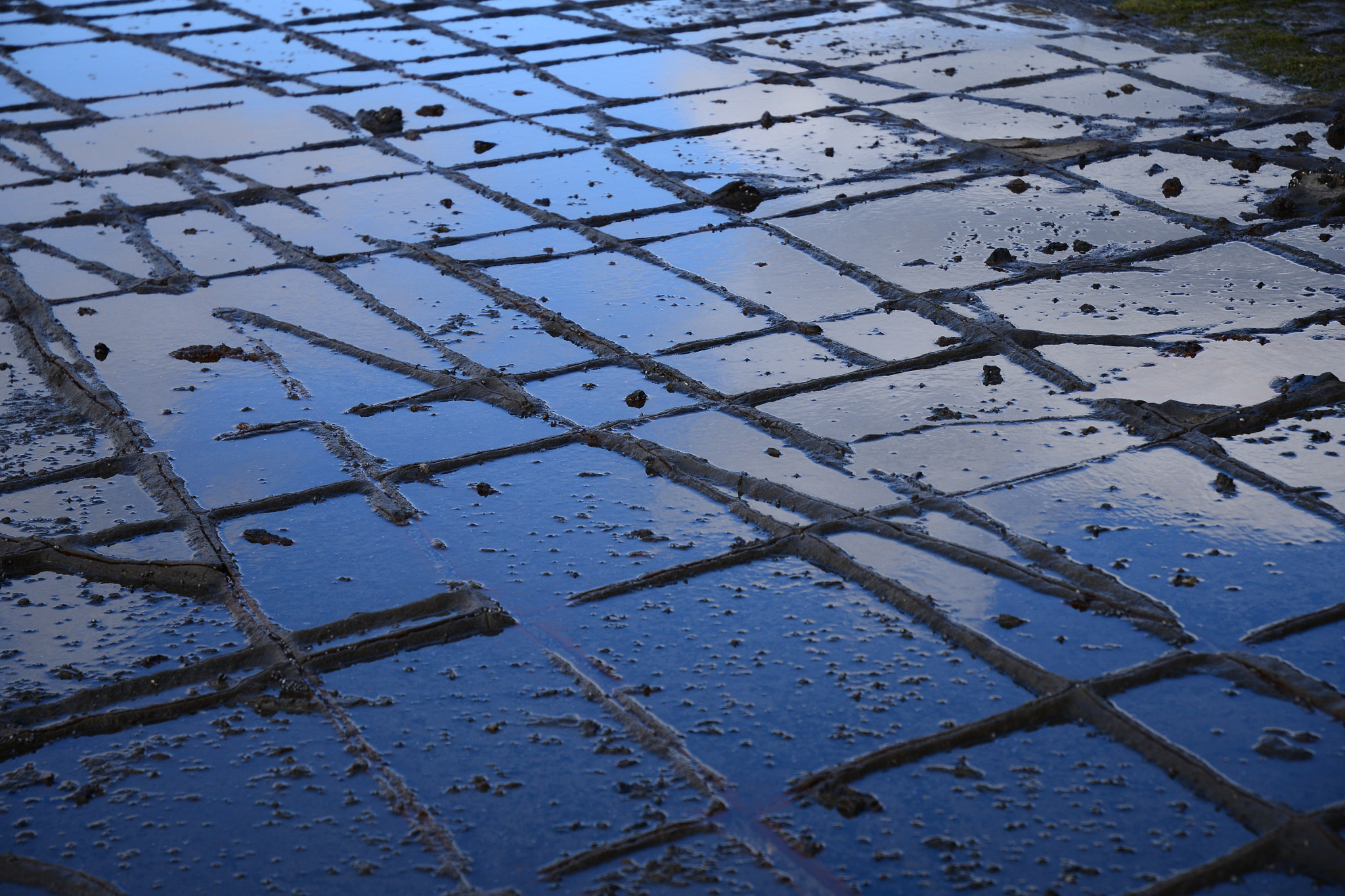 Nikon D800 sample photo. Tesselated pavement photography