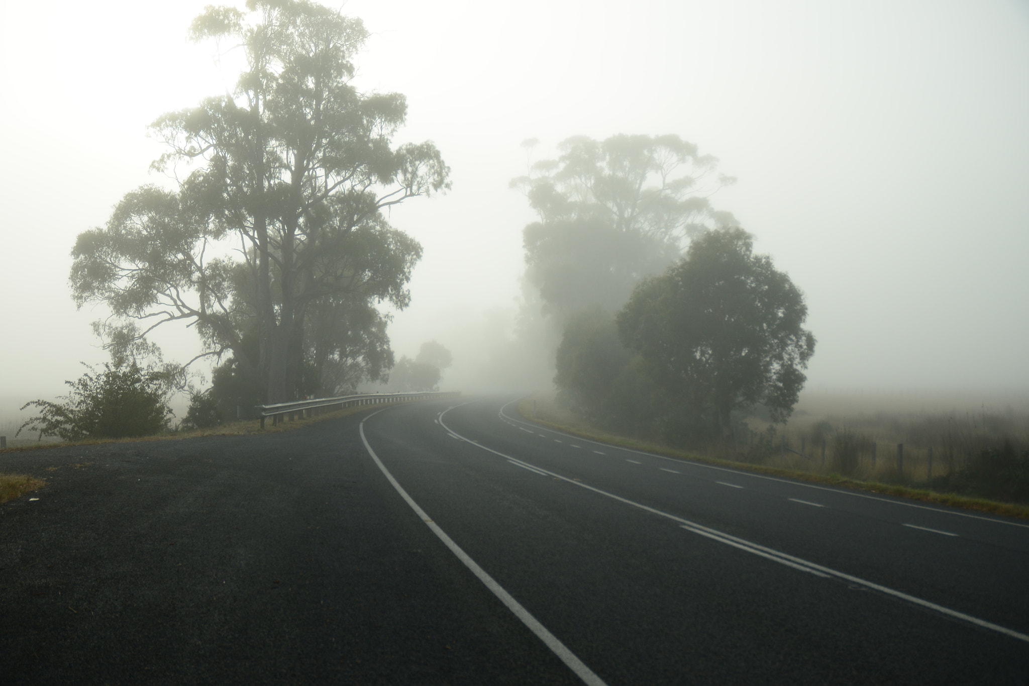 Nikon D800 sample photo. Tasmanian road photography