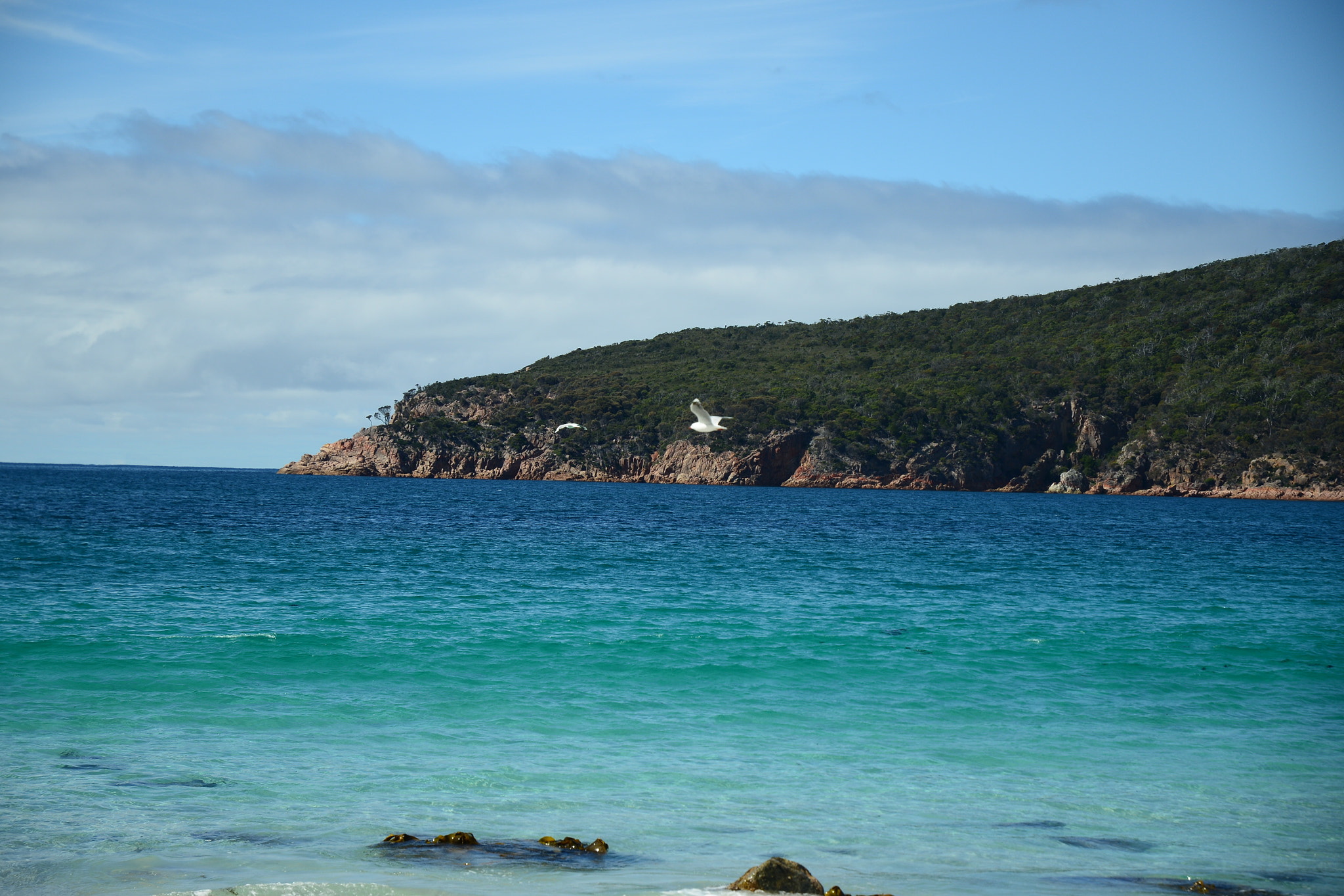 Nikon D800 sample photo. Wineglass bay photography