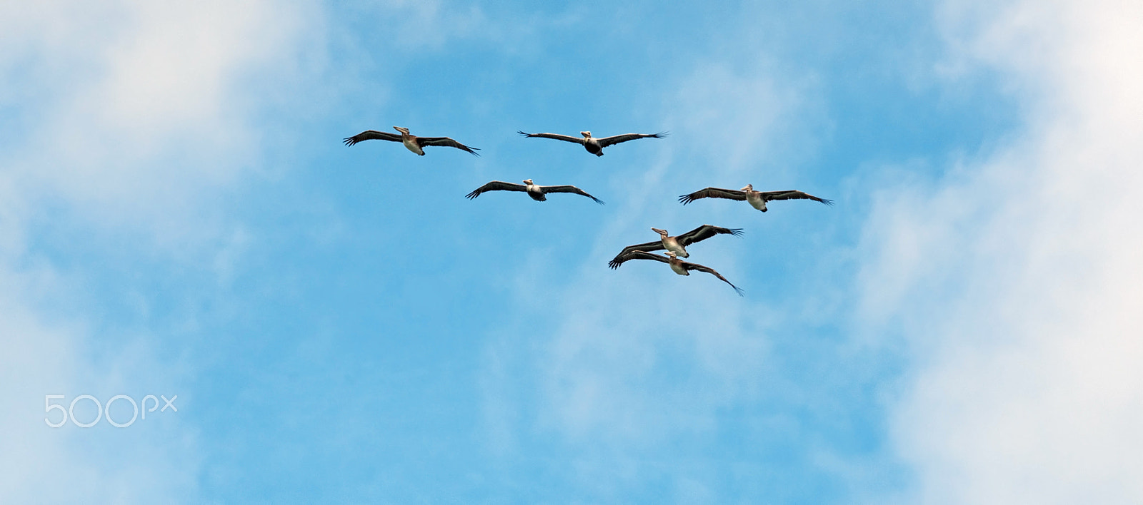 Sigma 150-500mm F5-6.3 DG OS HSM sample photo. Formation photography