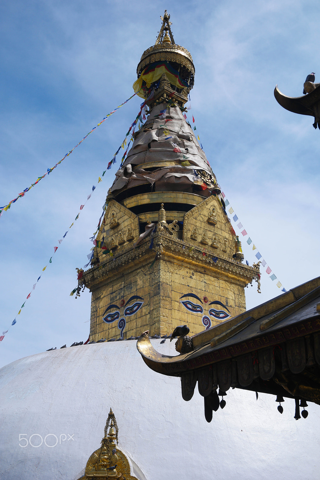 Saumsun NX 16-50mm F2-2.8 S ED OIS sample photo. Buddha eyes photography