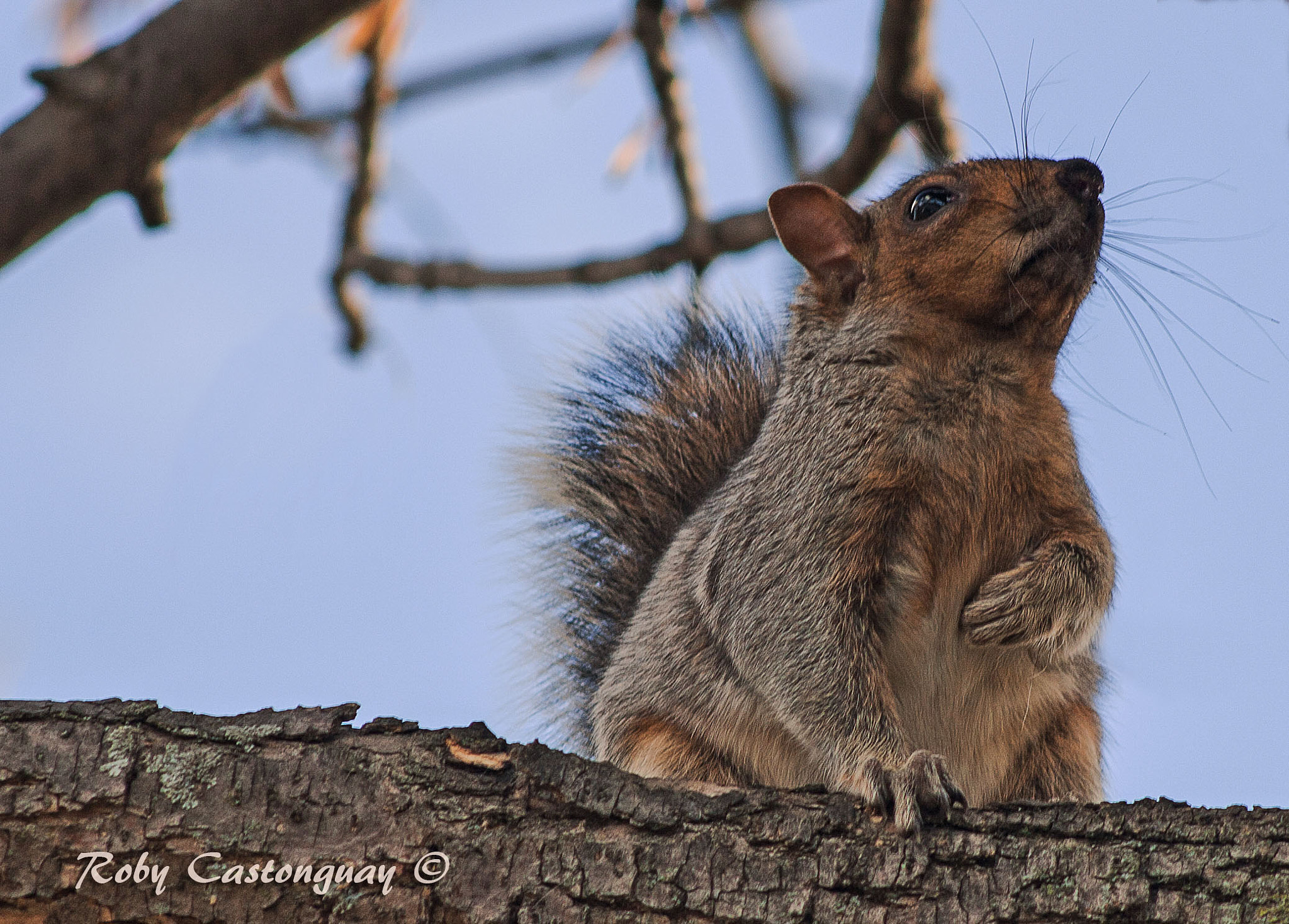 Canon EF 75-300mm f/4-5.6 USM sample photo