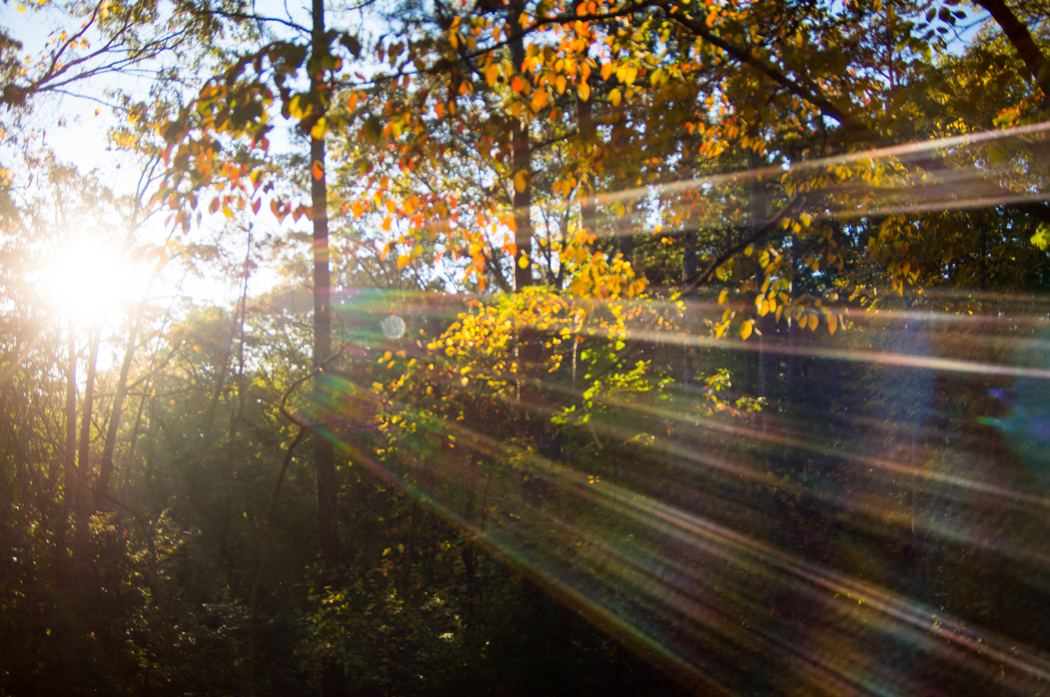 Sony SLT-A68 + Sigma 17-70mm F2.8-4.5 (D) sample photo. Rays photography