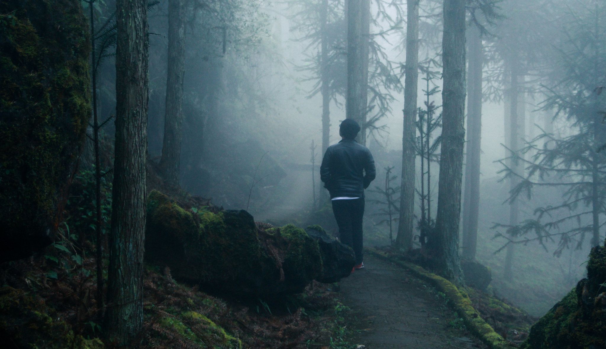 Canon EF 24-85mm F3.5-4.5 USM sample photo. Man in the forest photography