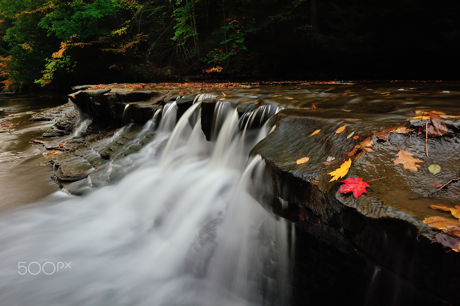Nikon D3X sample photo. Fall flow photography