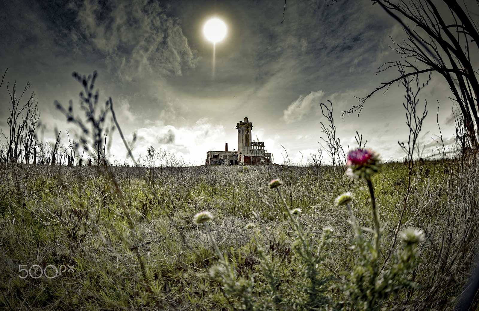 Nikon D800E + Samyang 12mm F2.8 ED AS NCS Fisheye sample photo. Ruinas de villa epecuén / village epecuén ruins photography