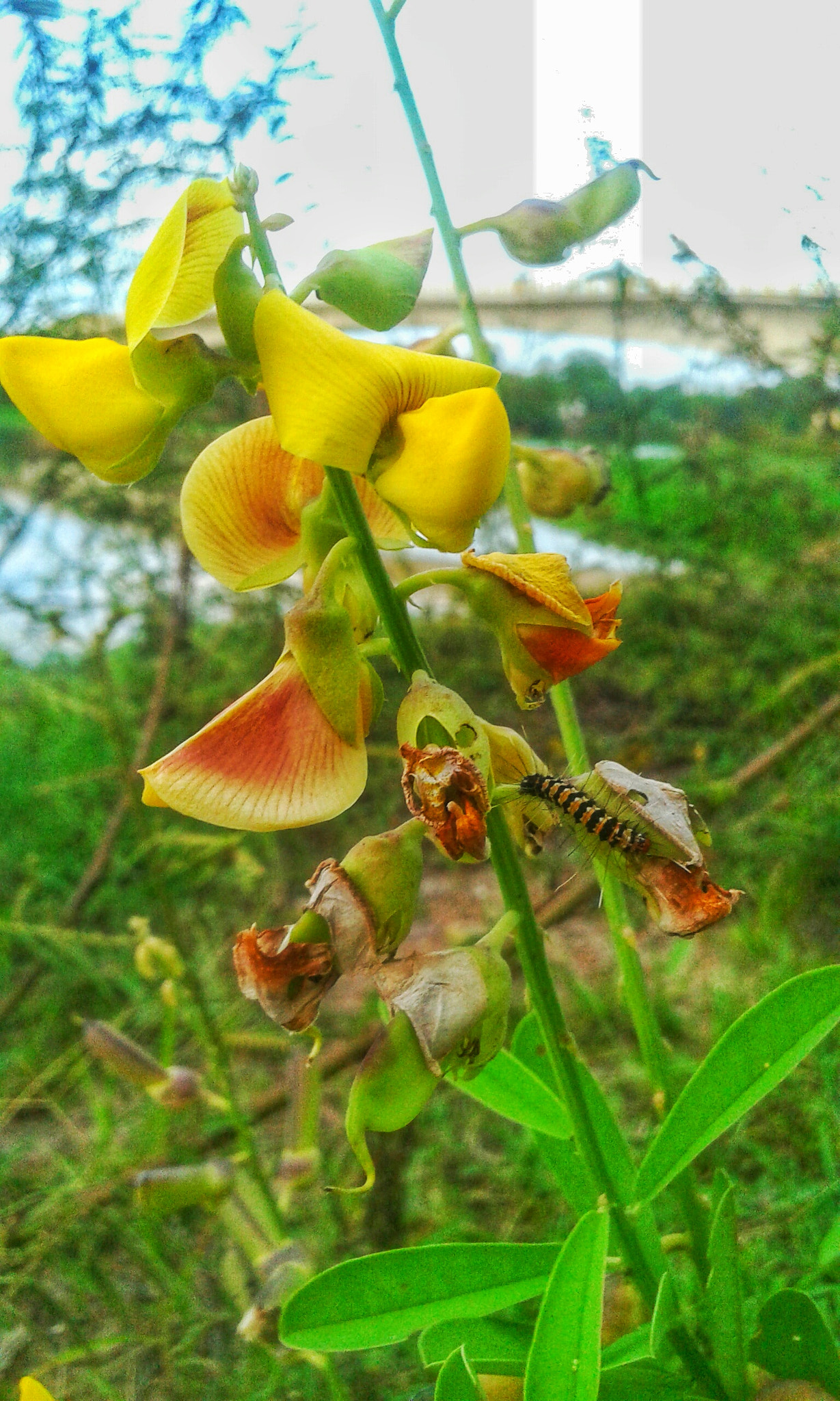 Samsung Galaxy Core2 sample photo. Sitios colombia photography