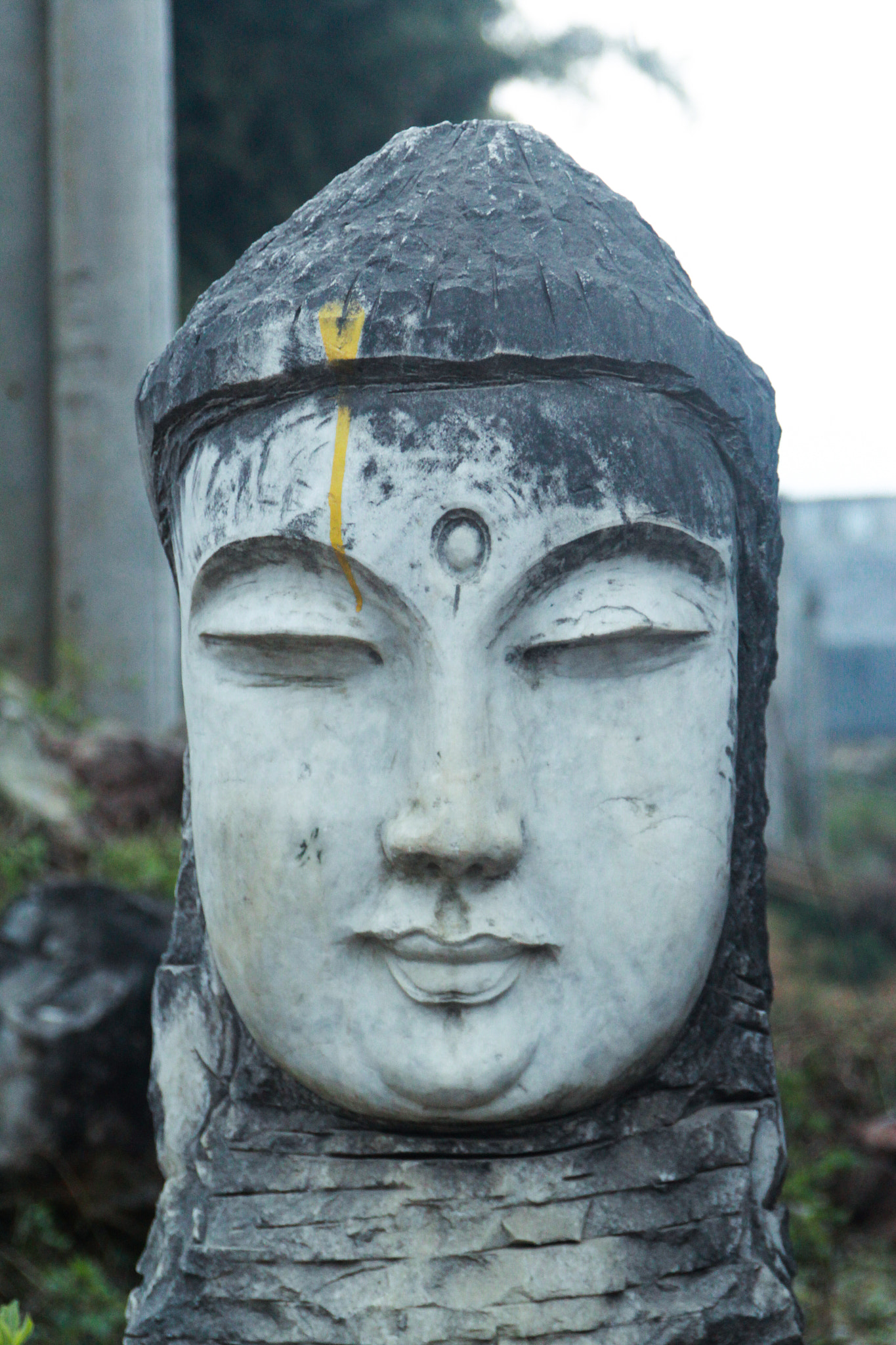 Canon EF 24-85mm F3.5-4.5 USM sample photo. Buddha head photography