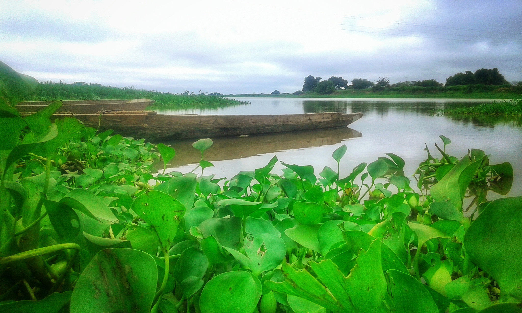 Samsung Galaxy Core2 sample photo. 20160703_084441-01.jpeg photography