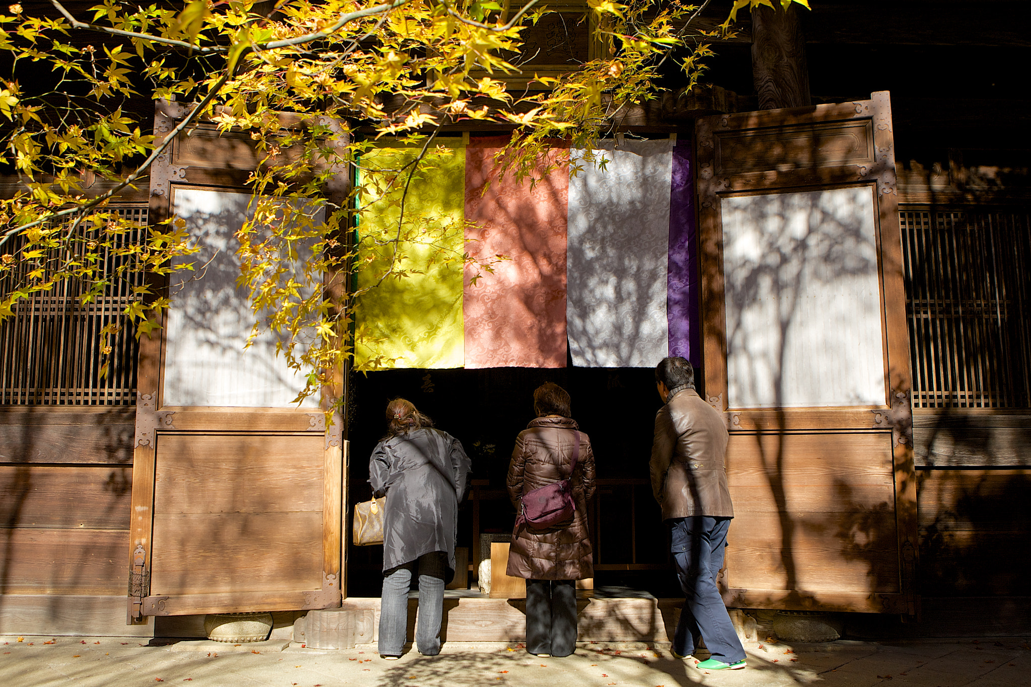 Canon EOS-1D Mark III sample photo. Autumn, sneak peek photography