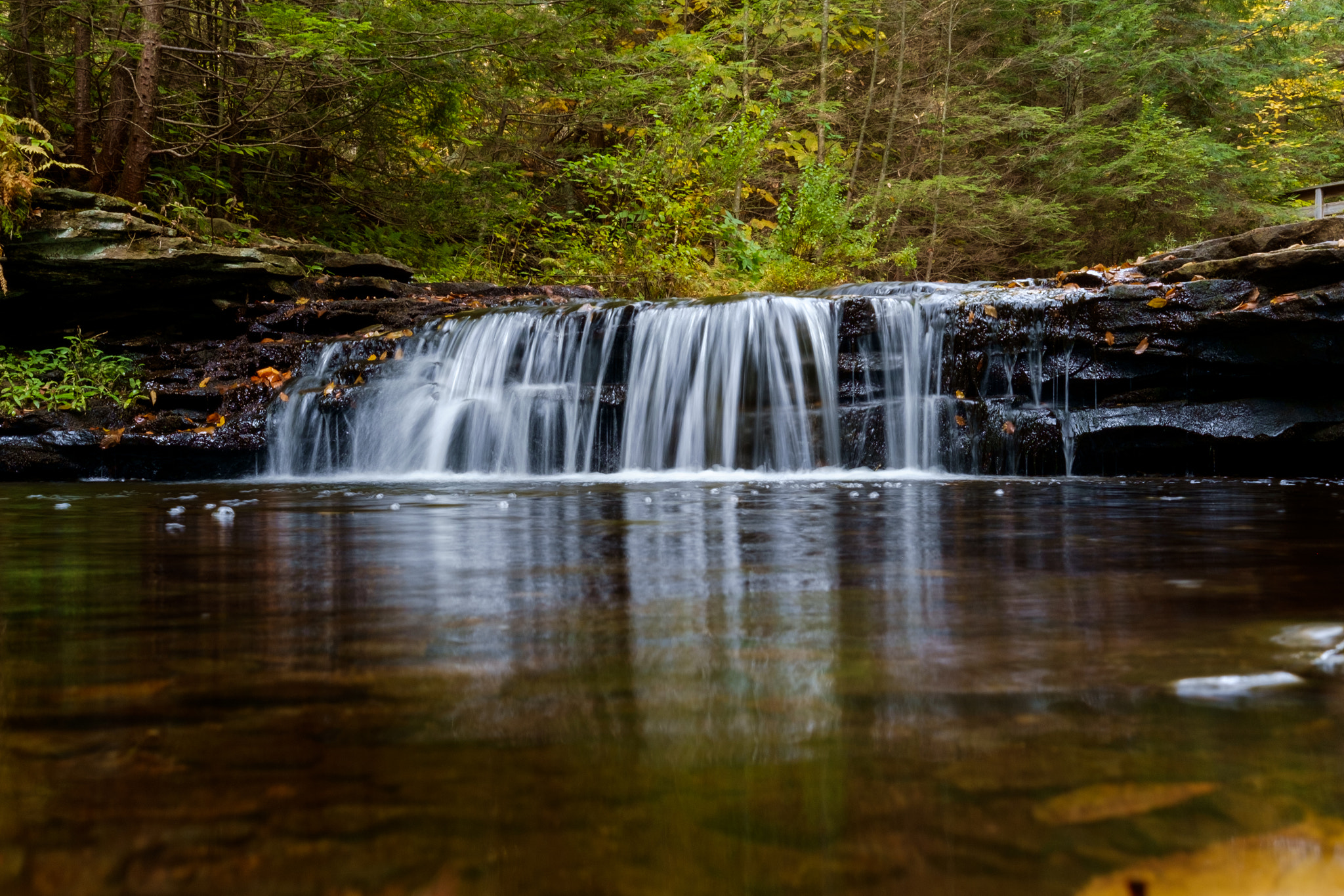 Fujifilm X-Pro1 + Fujifilm XF 27mm F2.8 sample photo. Ricketts glen state park photography