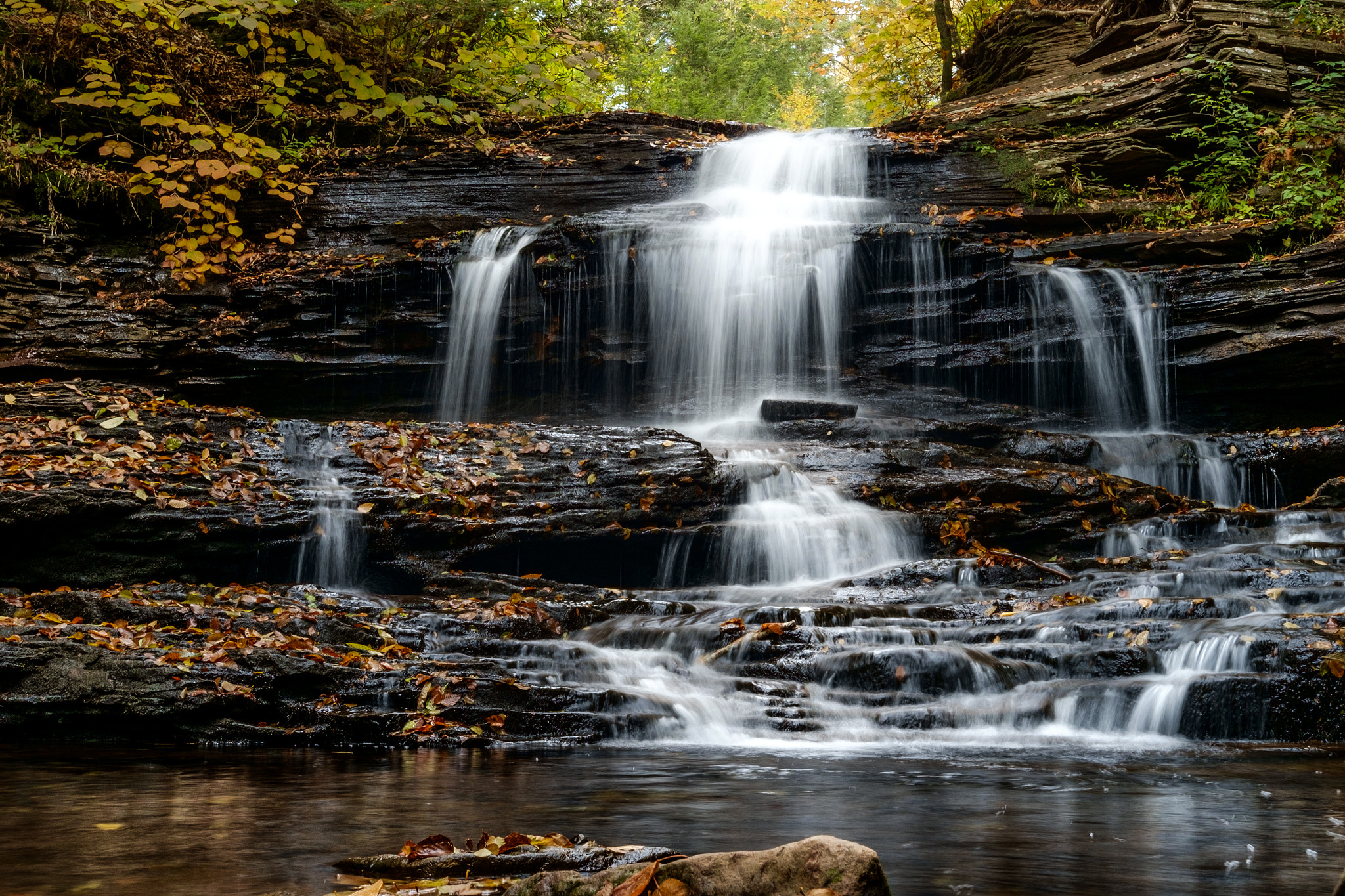 Fujifilm X-Pro1 + Fujifilm XF 27mm F2.8 sample photo. Ricketts glenn state park photography