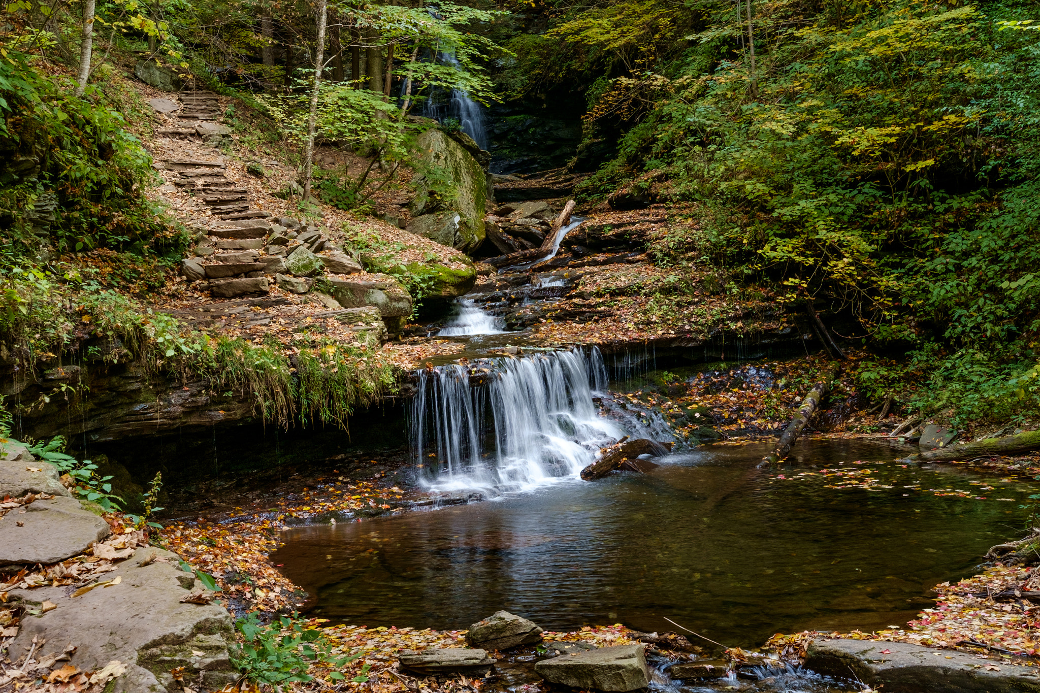 Fujifilm X-Pro1 + Fujifilm XF 27mm F2.8 sample photo. Ricketts glen state park photography