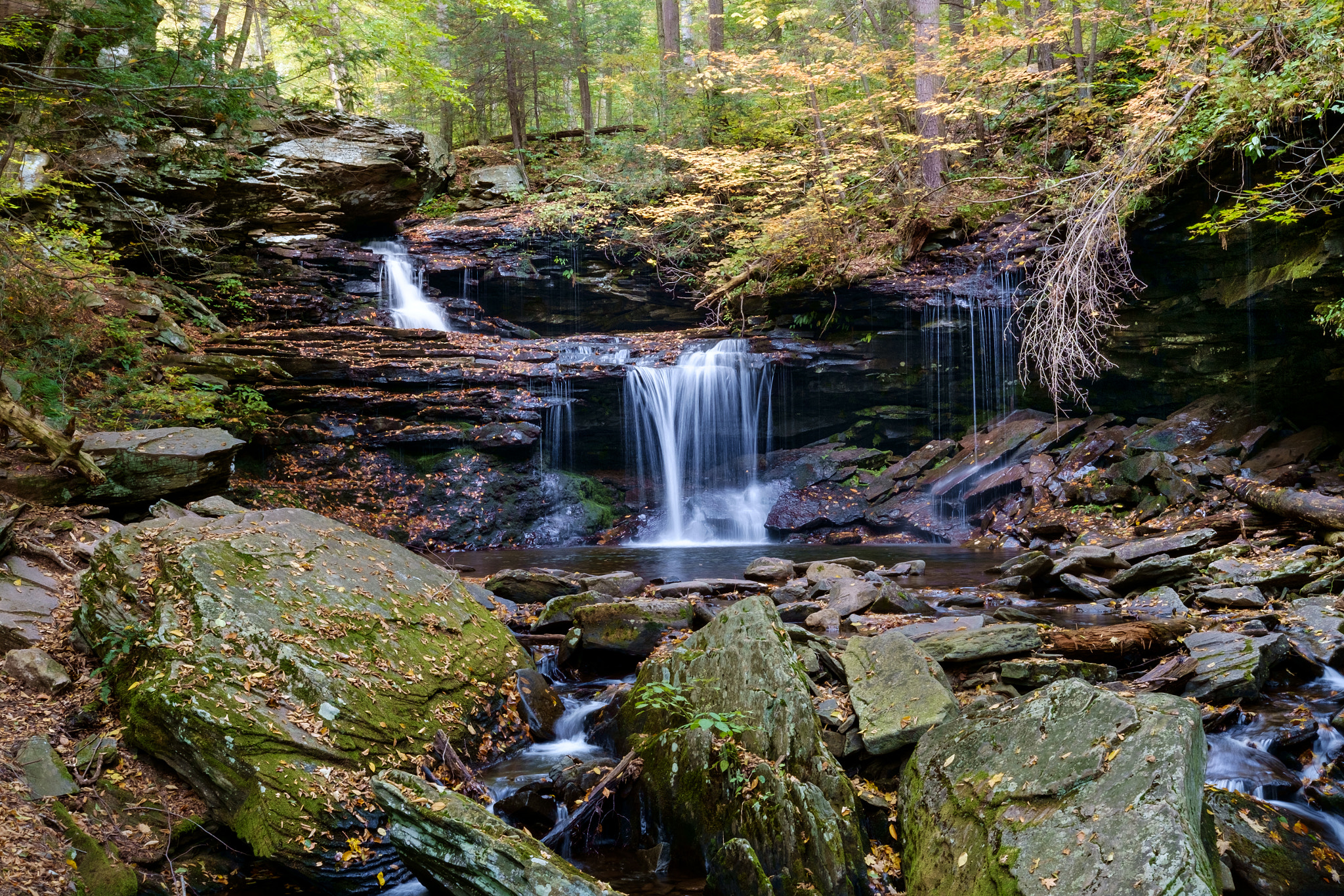 Fujifilm X-Pro1 + Fujifilm XF 27mm F2.8 sample photo. Ricketts glen state park photography