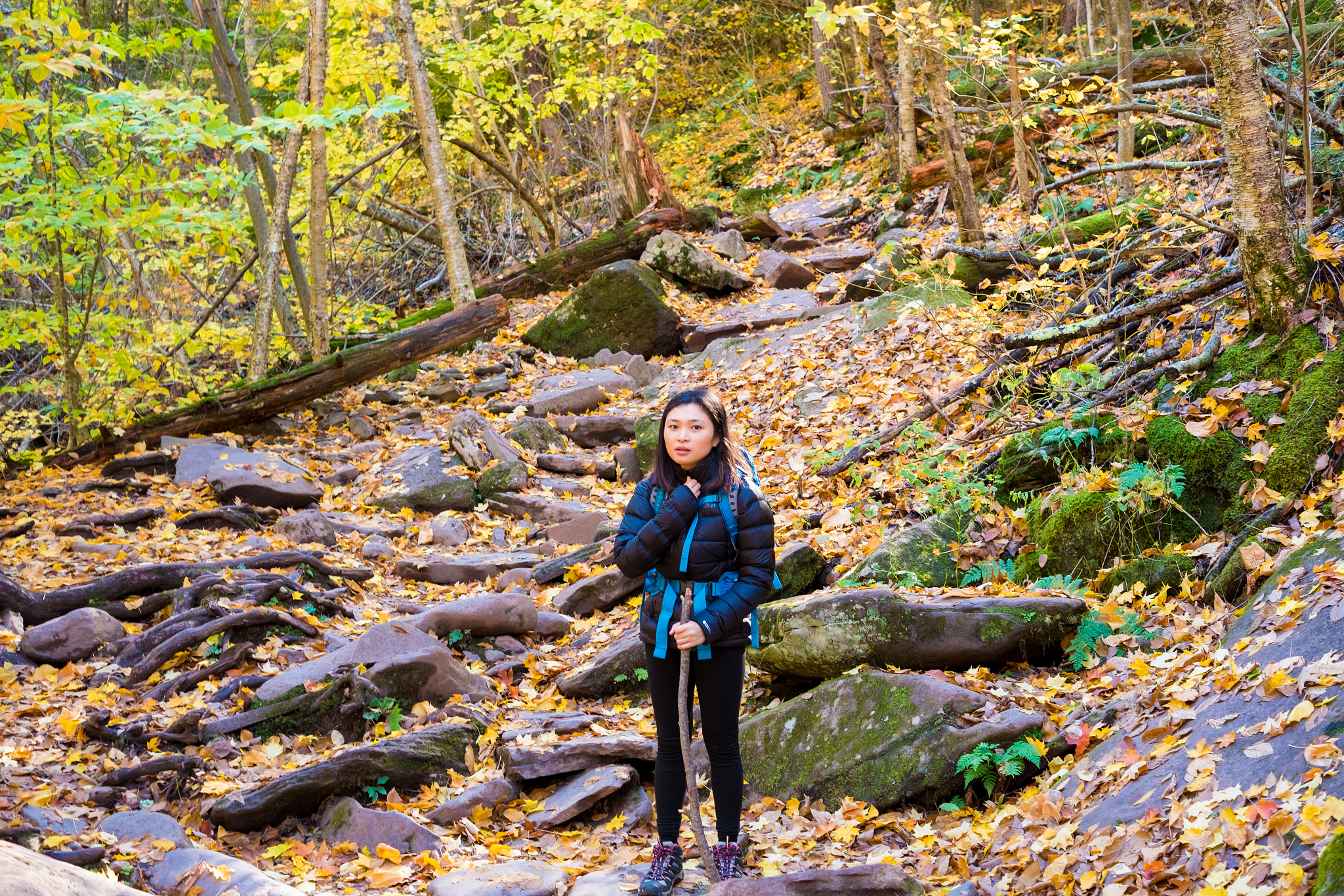 Fujifilm X-Pro1 + Fujifilm XF 27mm F2.8 sample photo. Calm in the woods photography