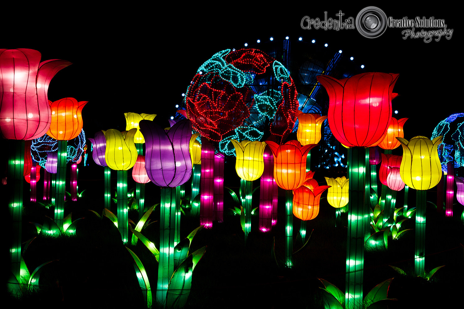 Canon EOS 60D + Tamron AF 28-75mm F2.8 XR Di LD Aspherical (IF) sample photo. China lights photography
