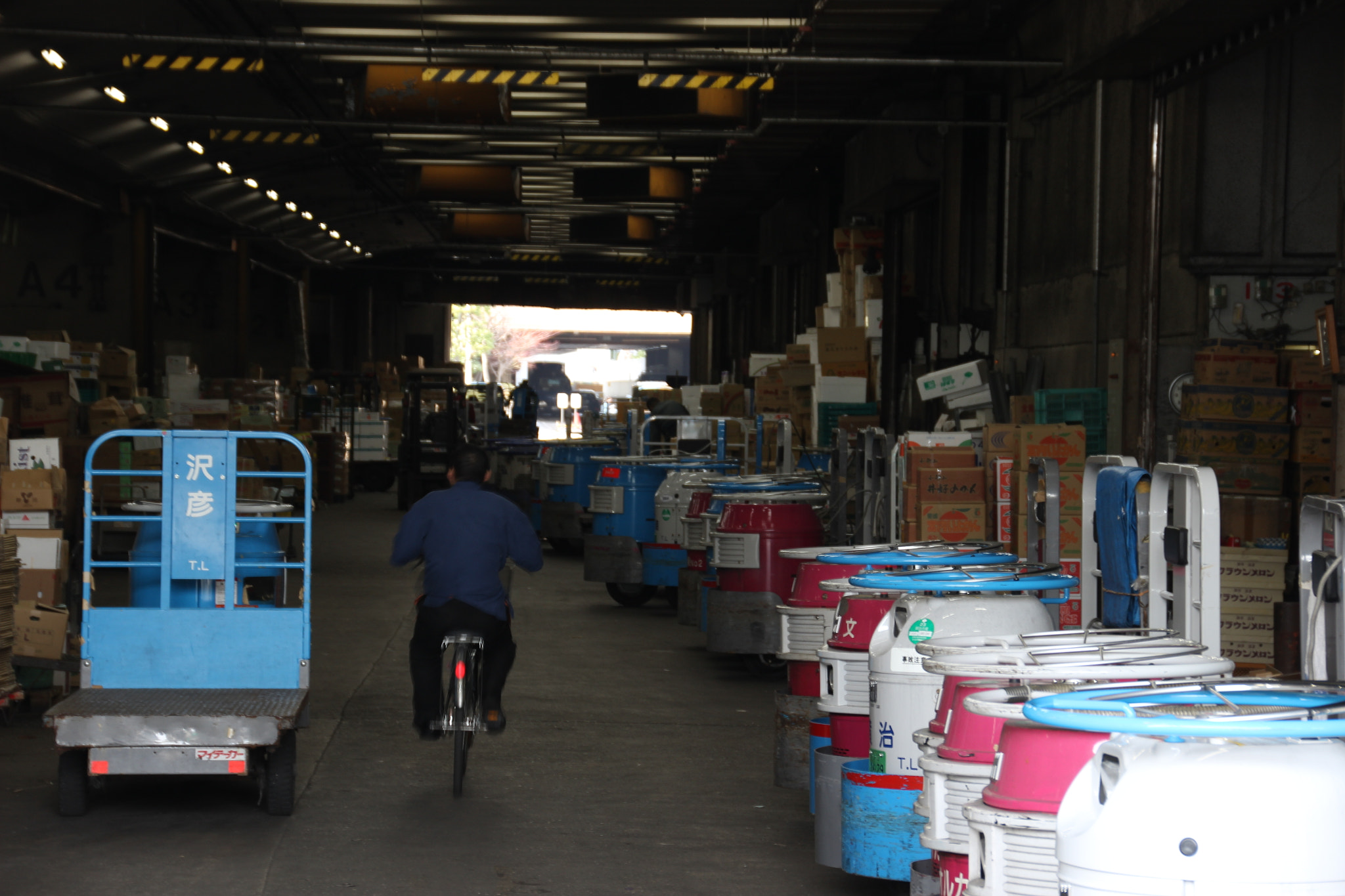 Canon EOS 600D (Rebel EOS T3i / EOS Kiss X5) sample photo. The tsukiji market photography